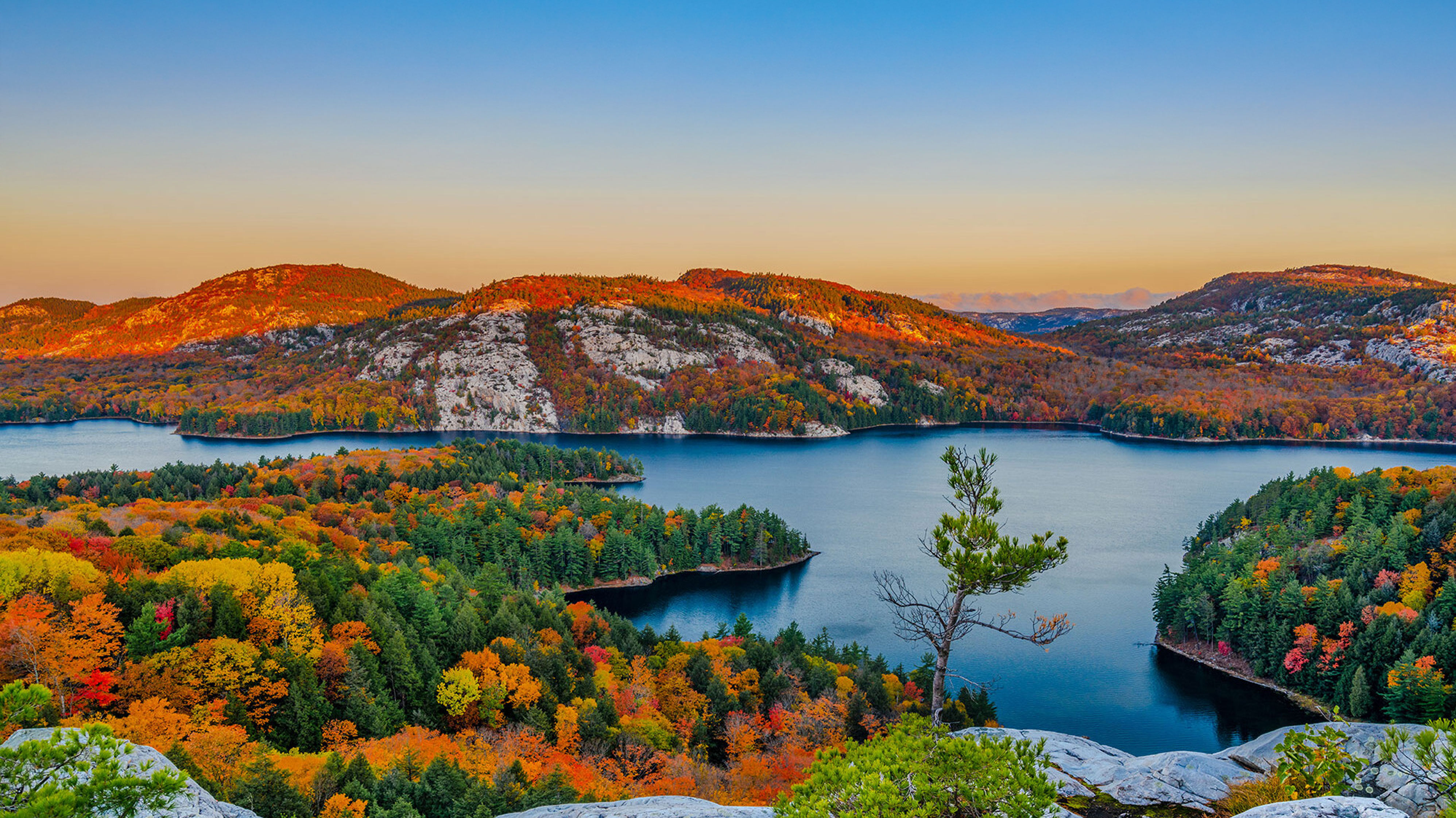 AtHome in Natural Zen