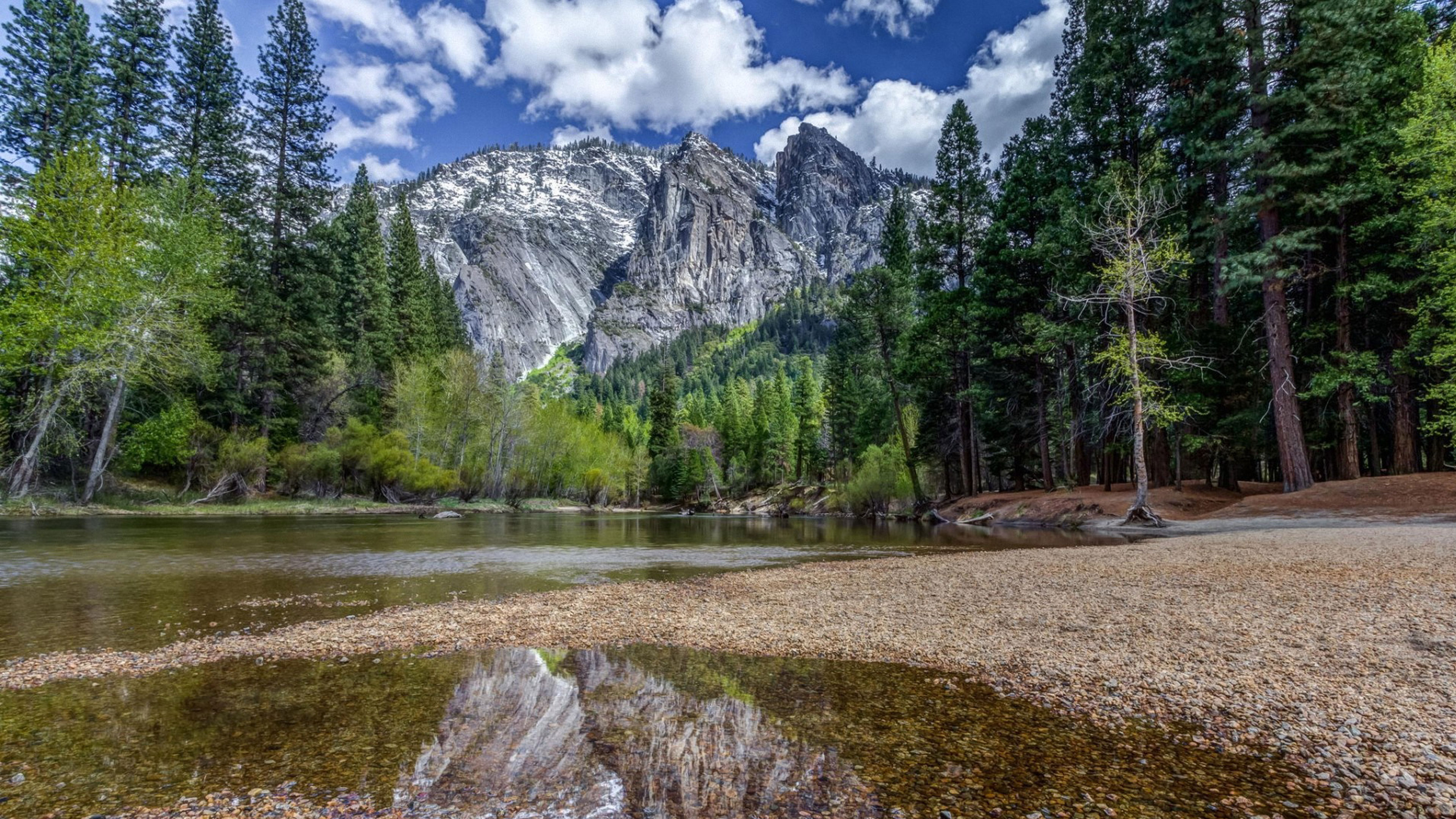 AtHome in the Wilderness of it All