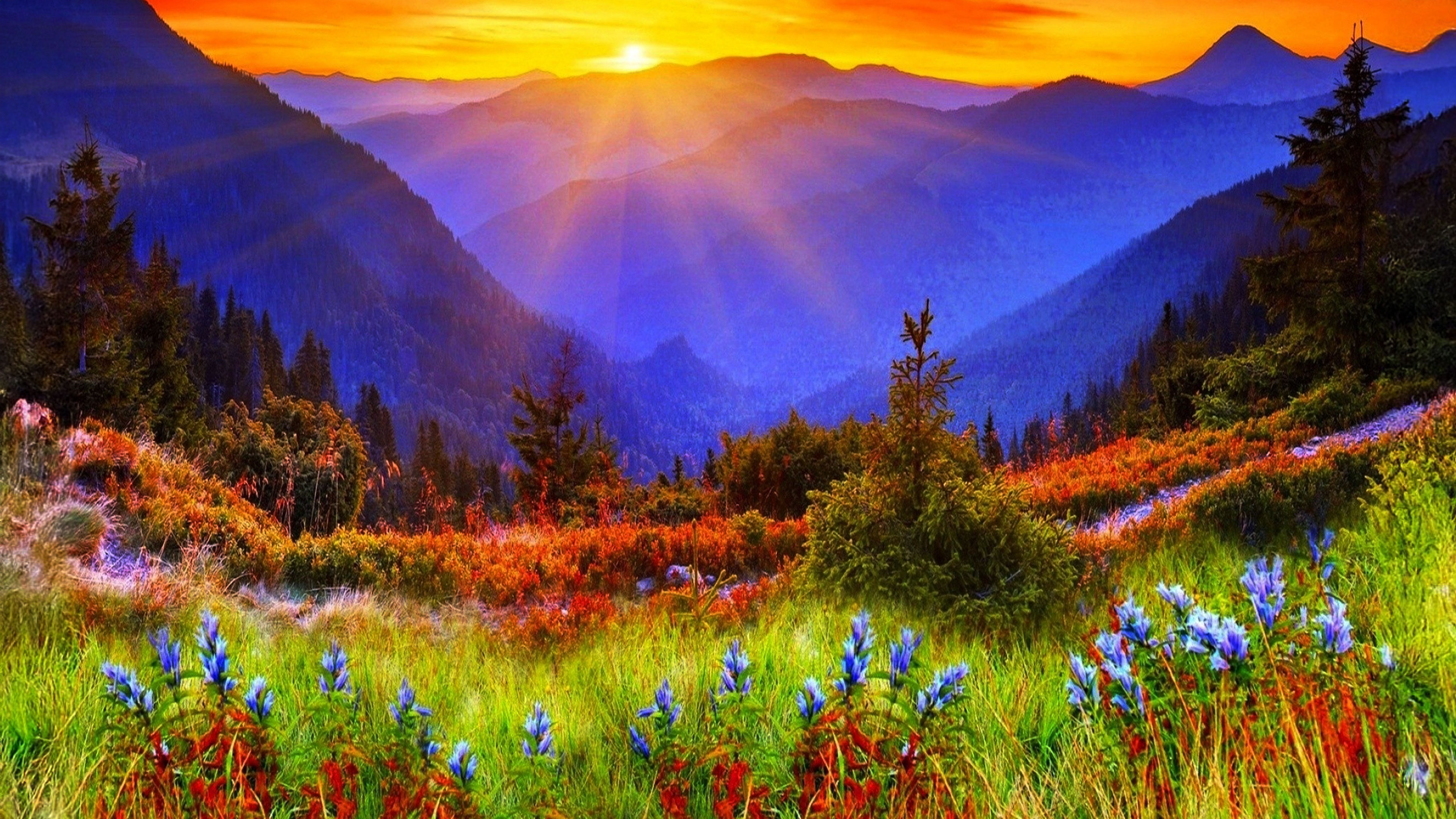 Beloved Existence Flowering Naturally Without Effort