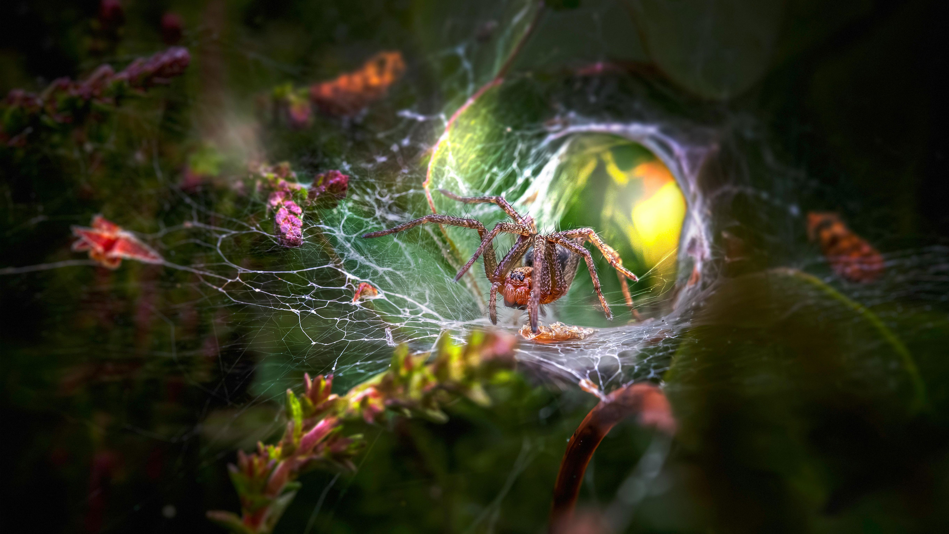 Conscious AtHomeness Melted and Merged