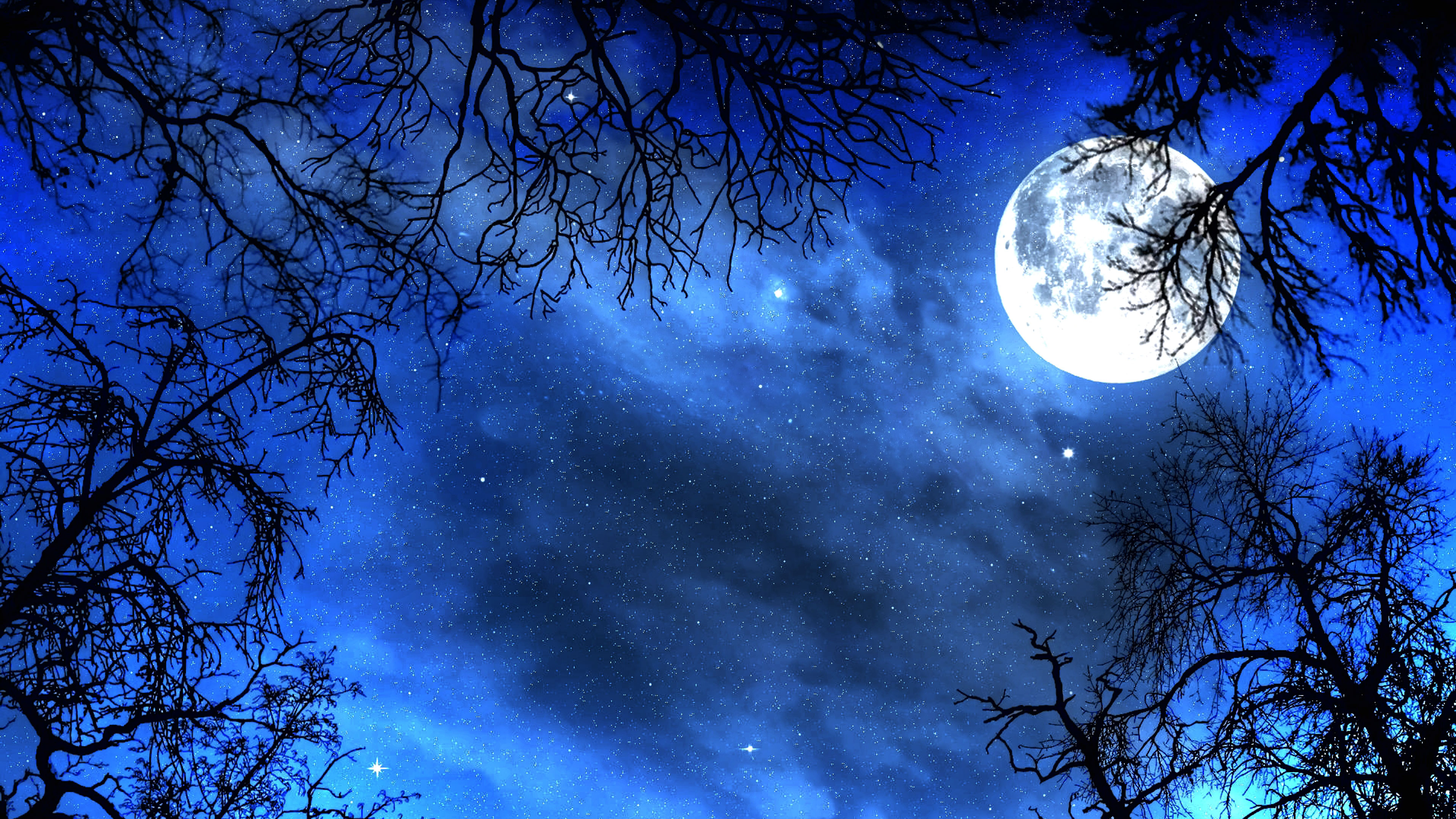 Embracing Wholeness