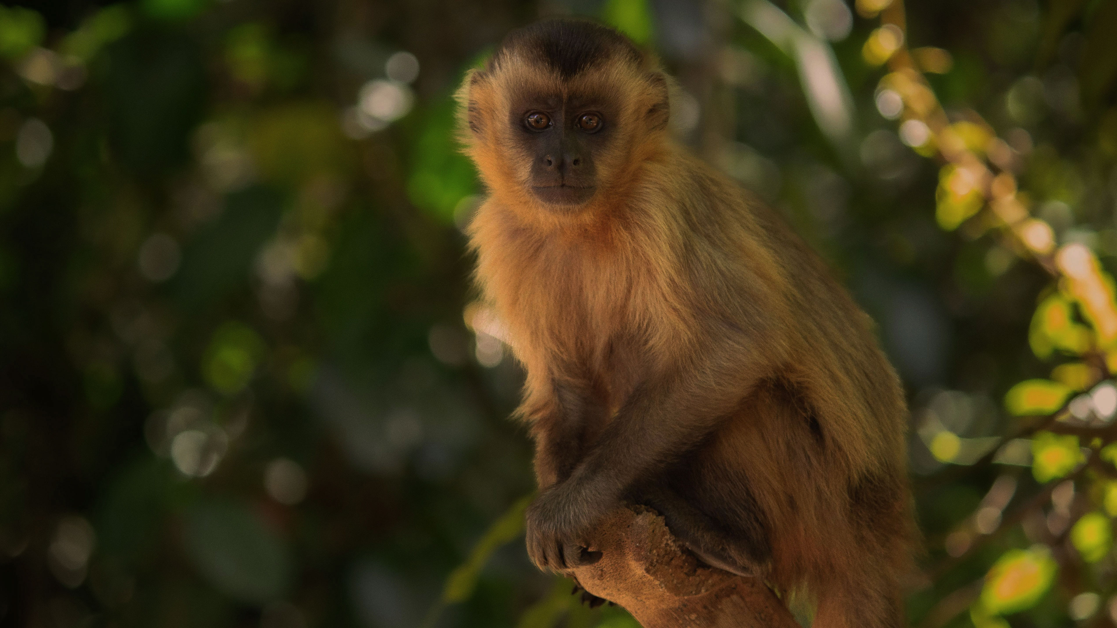 From separation to Connectedness