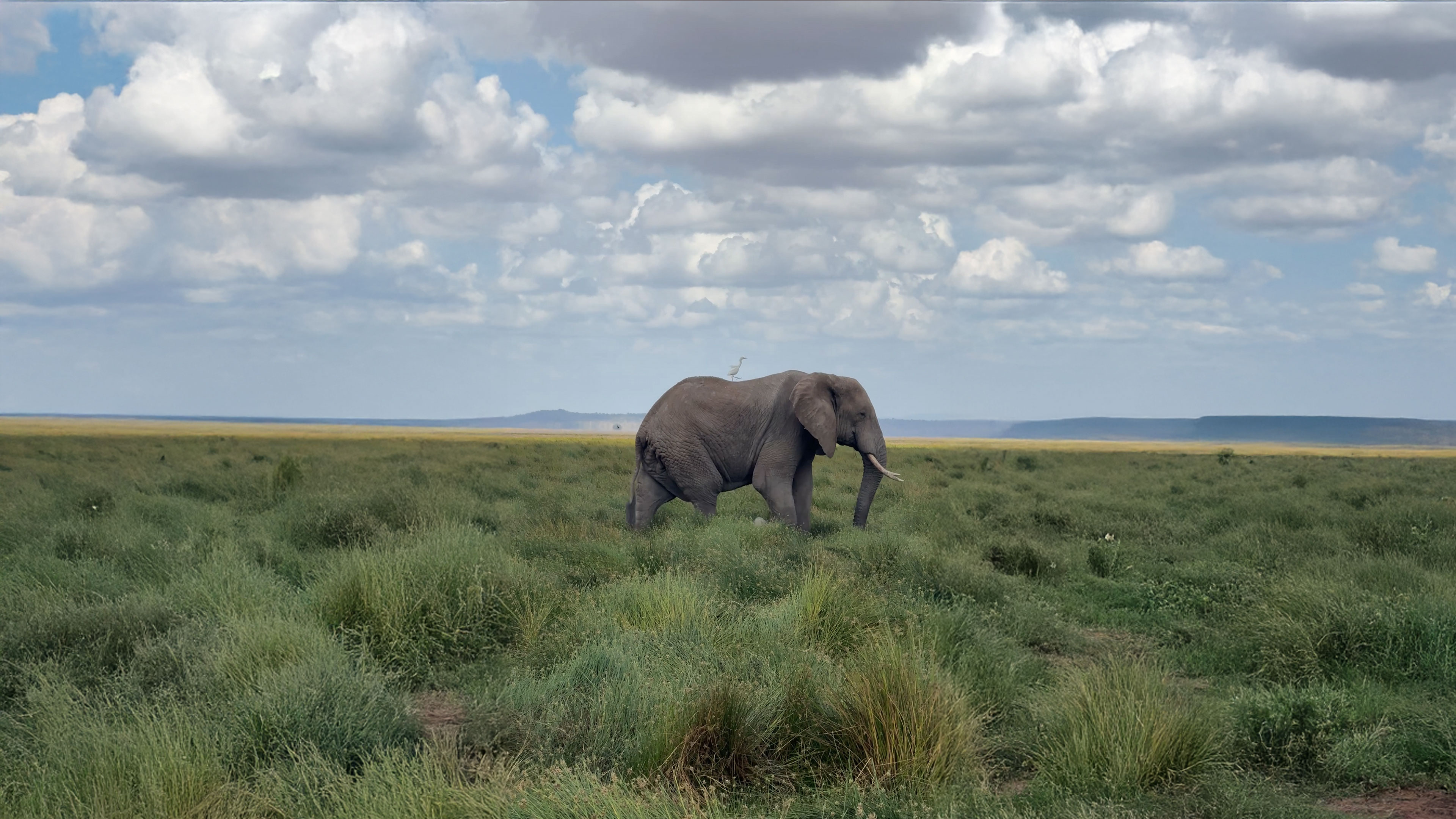 Innocently in Wholeness