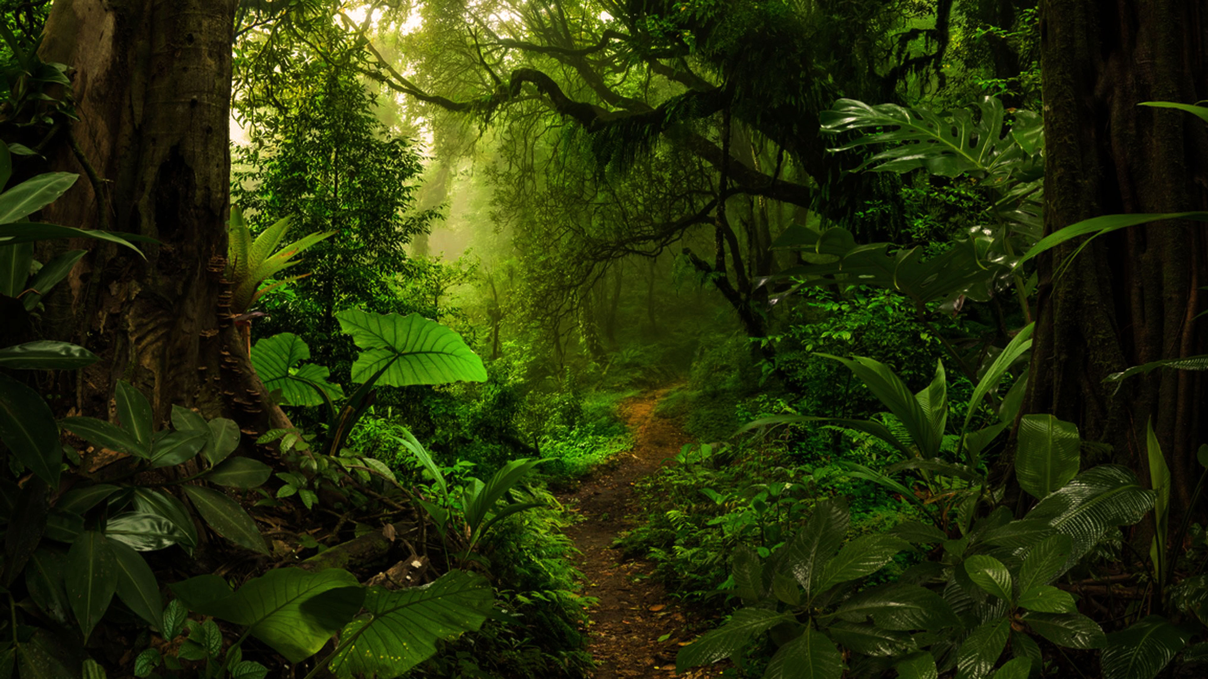 Slow Darkness