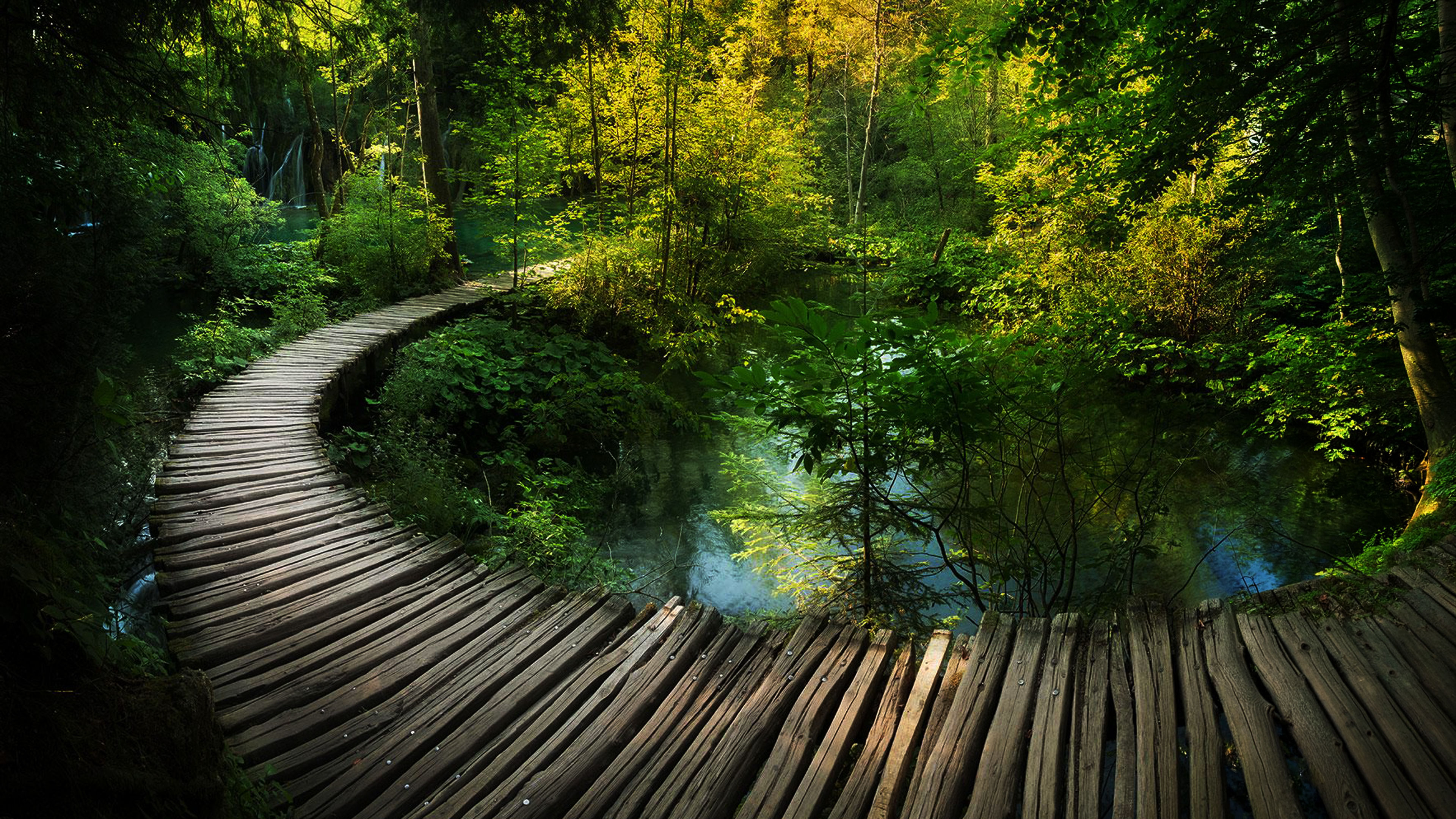 The Inner Path