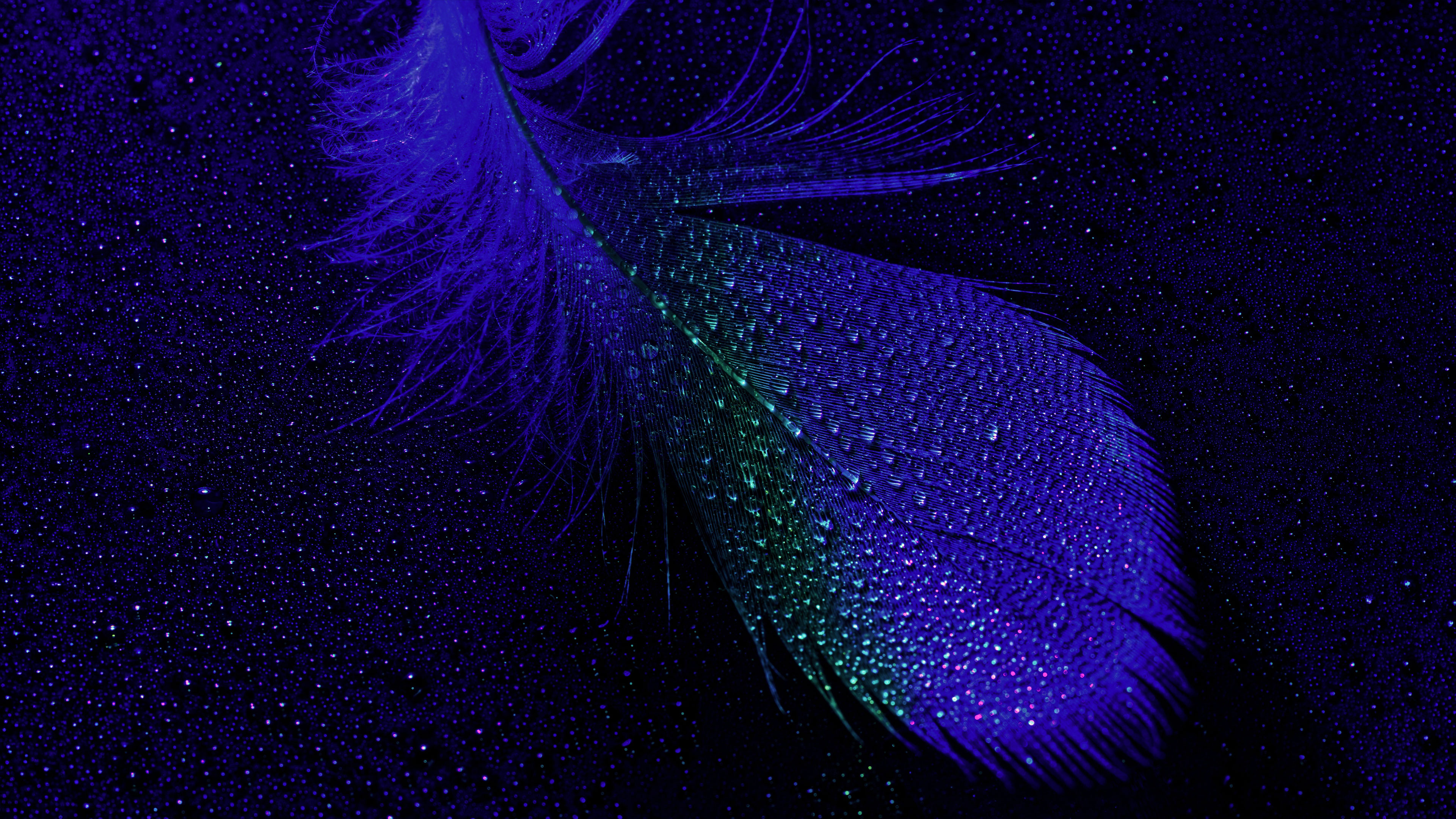 The Majestic Mystery Unfolding Itself Without Effort Without Knowing