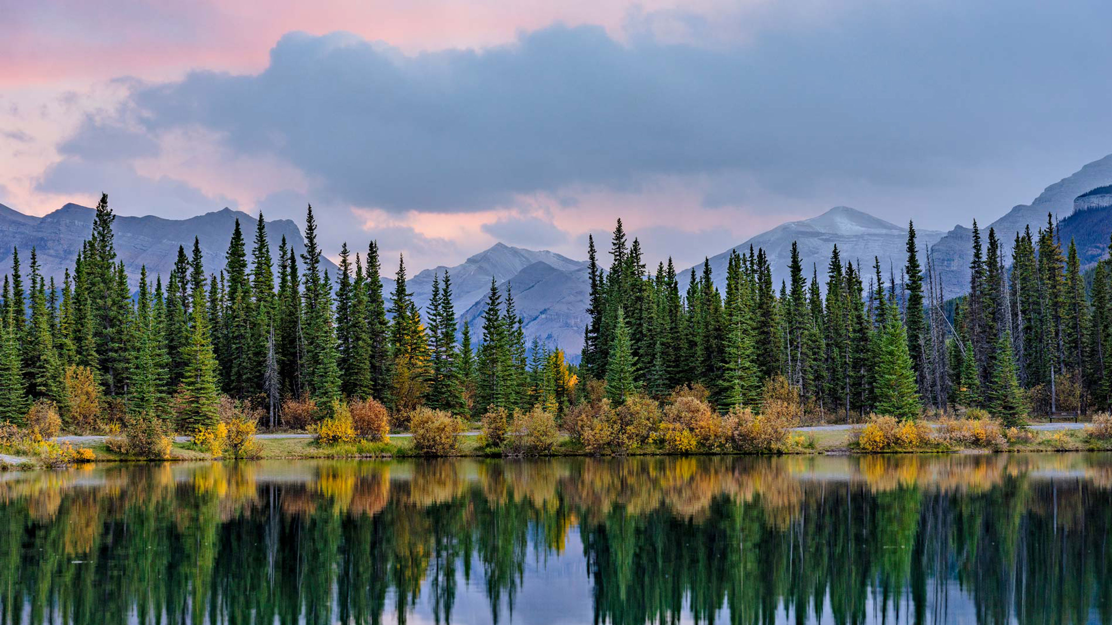 The Royal Road - Totality in Action