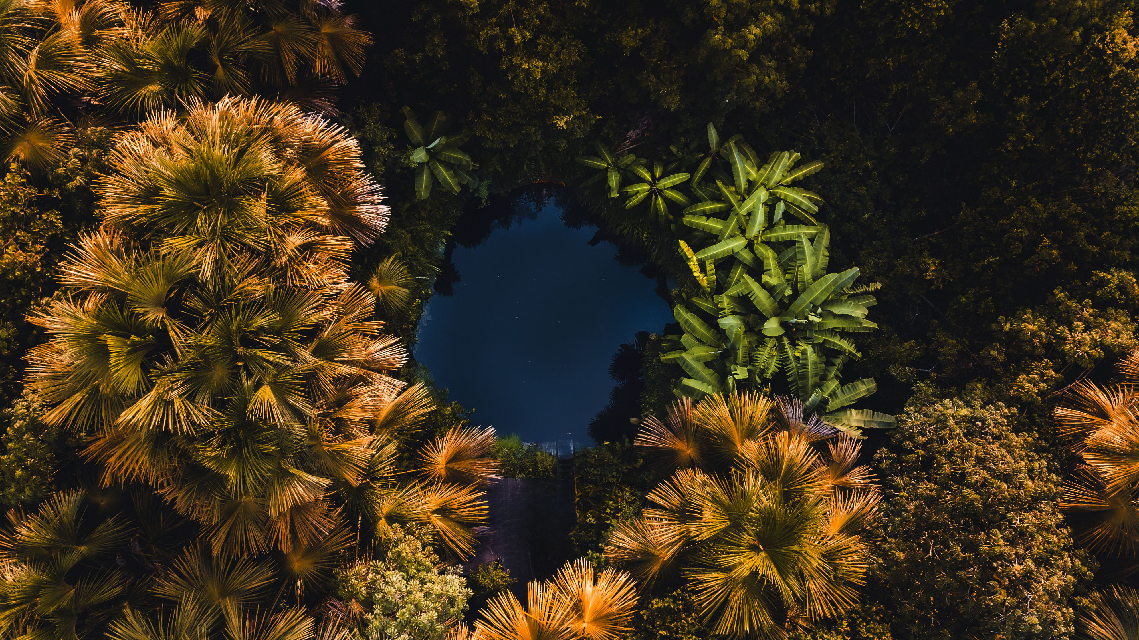 The Sacred Homecoming