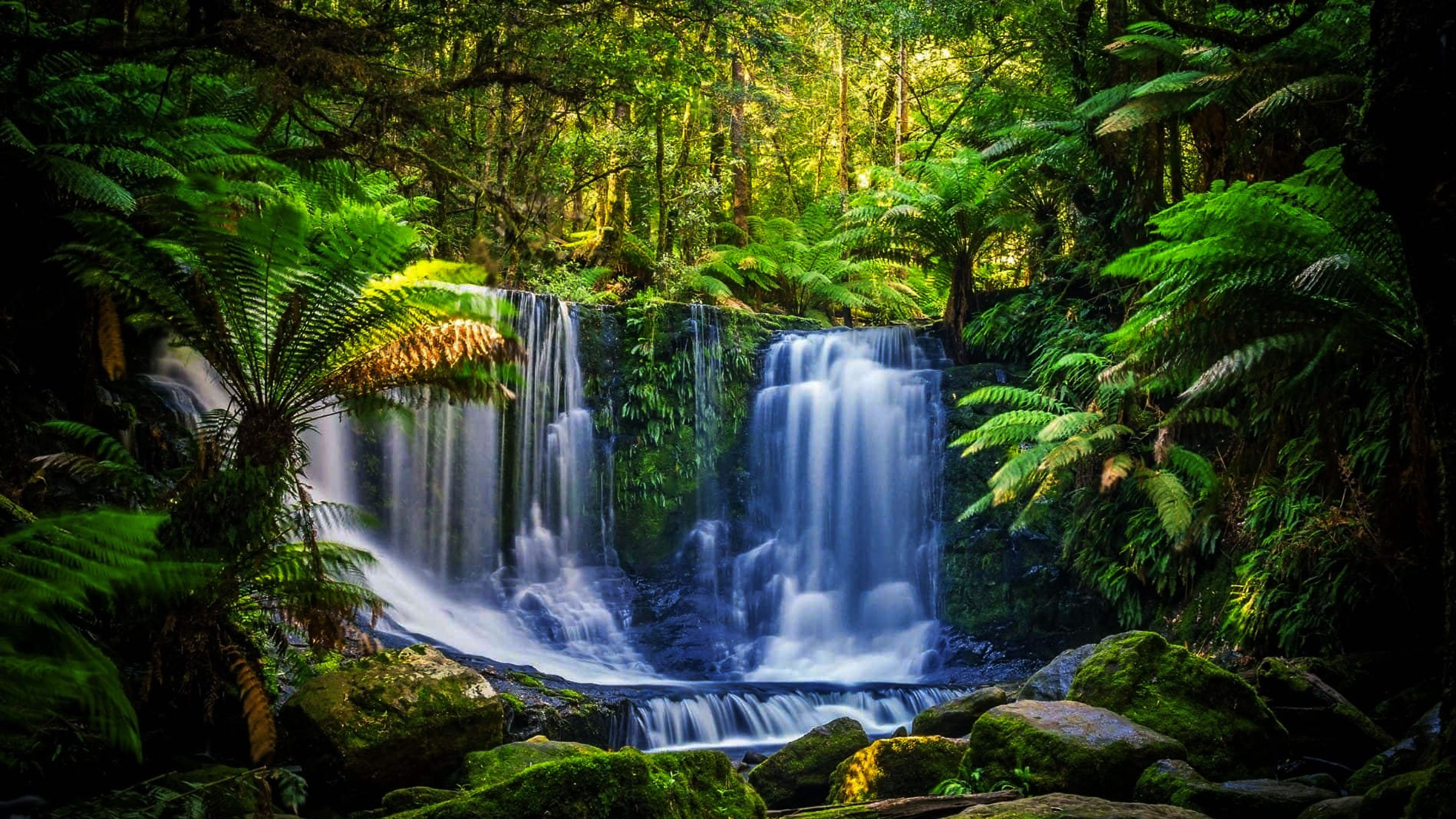 The Tao Of Wholeness - All Inclusive Reality