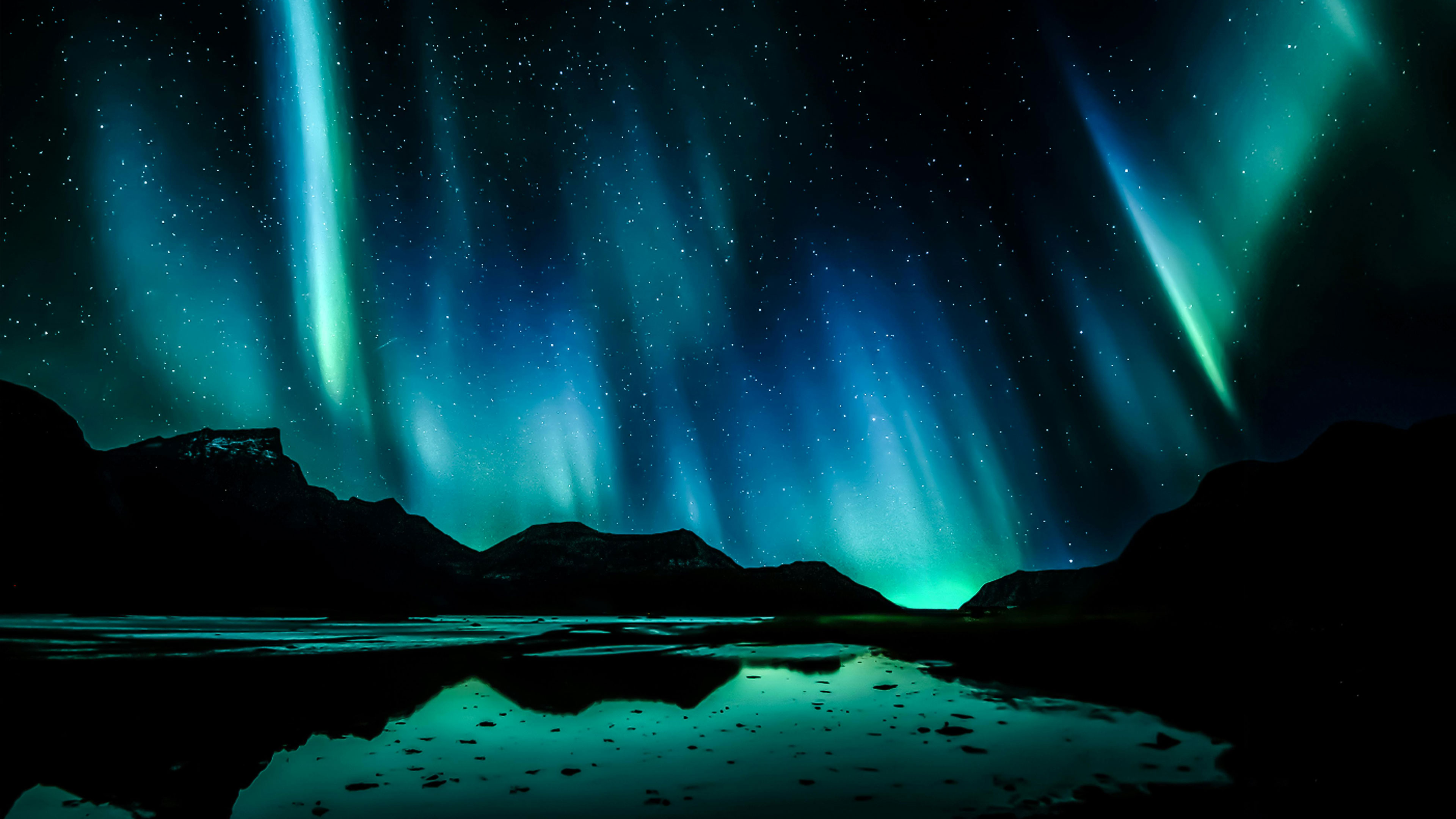 This Very Body The Buddha, This Very Place The Lotus Paradise