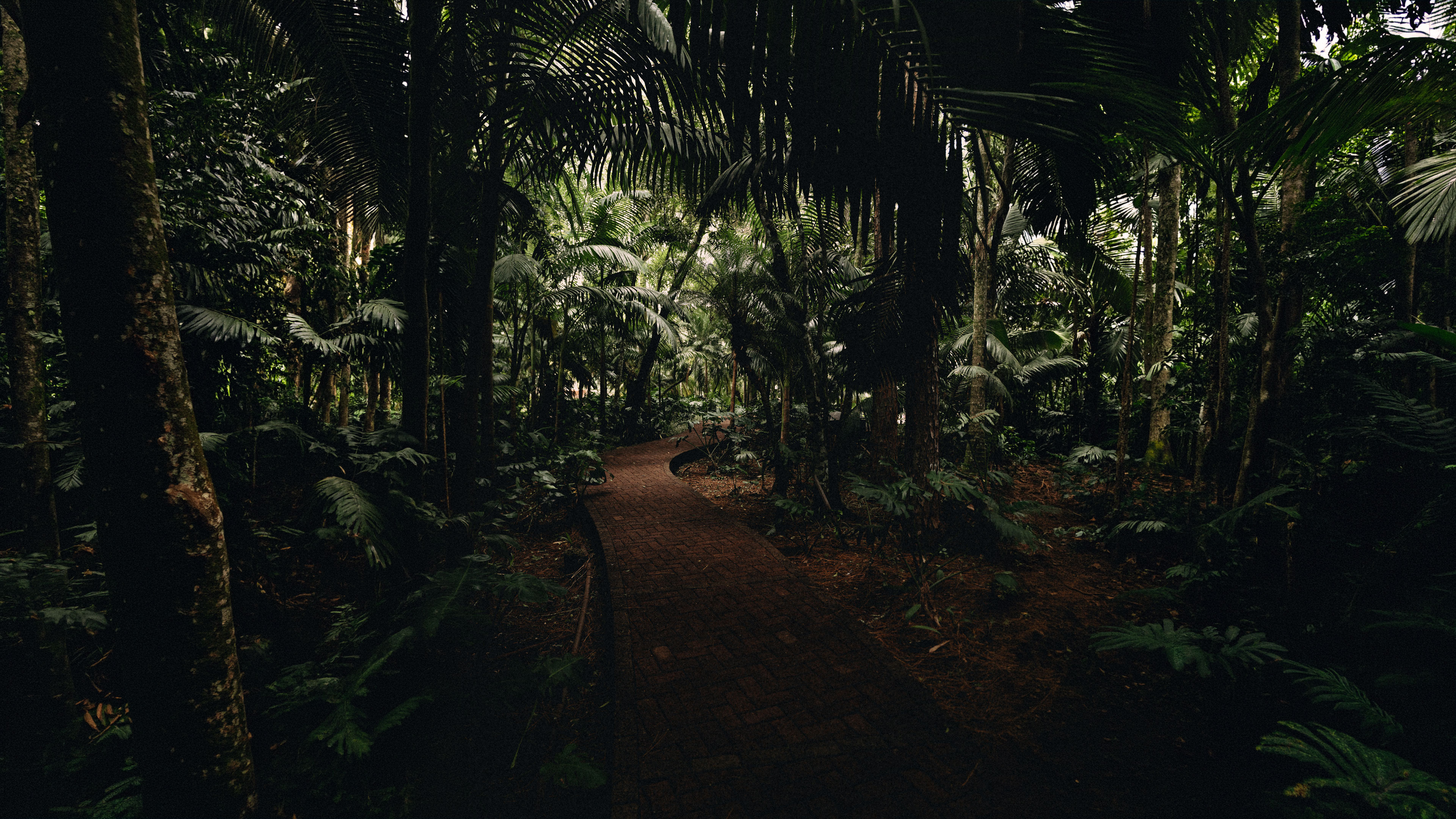 Walking The Path Of Belovedness That is AtHomeness