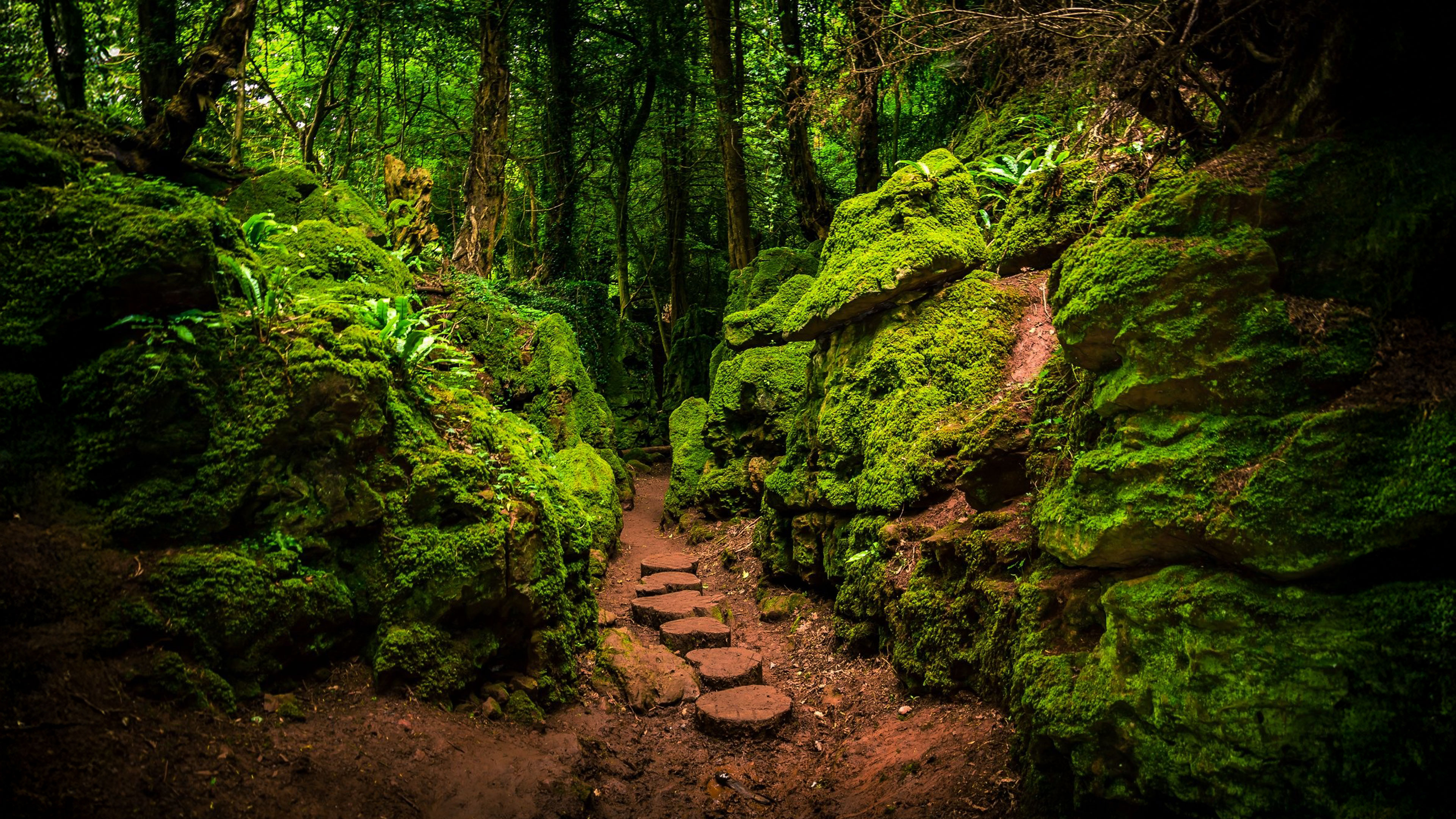 A Mystical Unknown Journey Out of Mind into True Nature