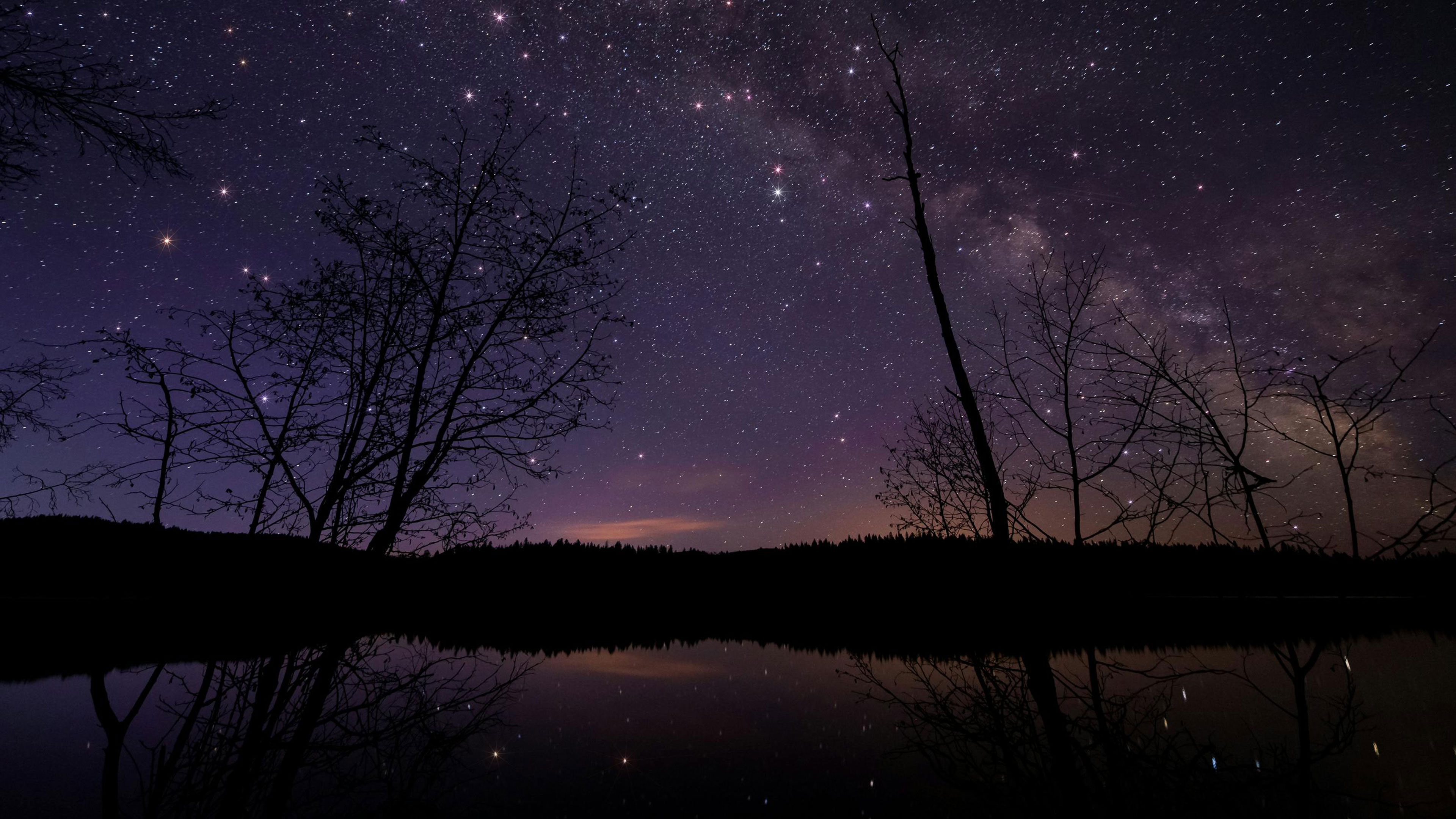 A Perspective of Wholeness