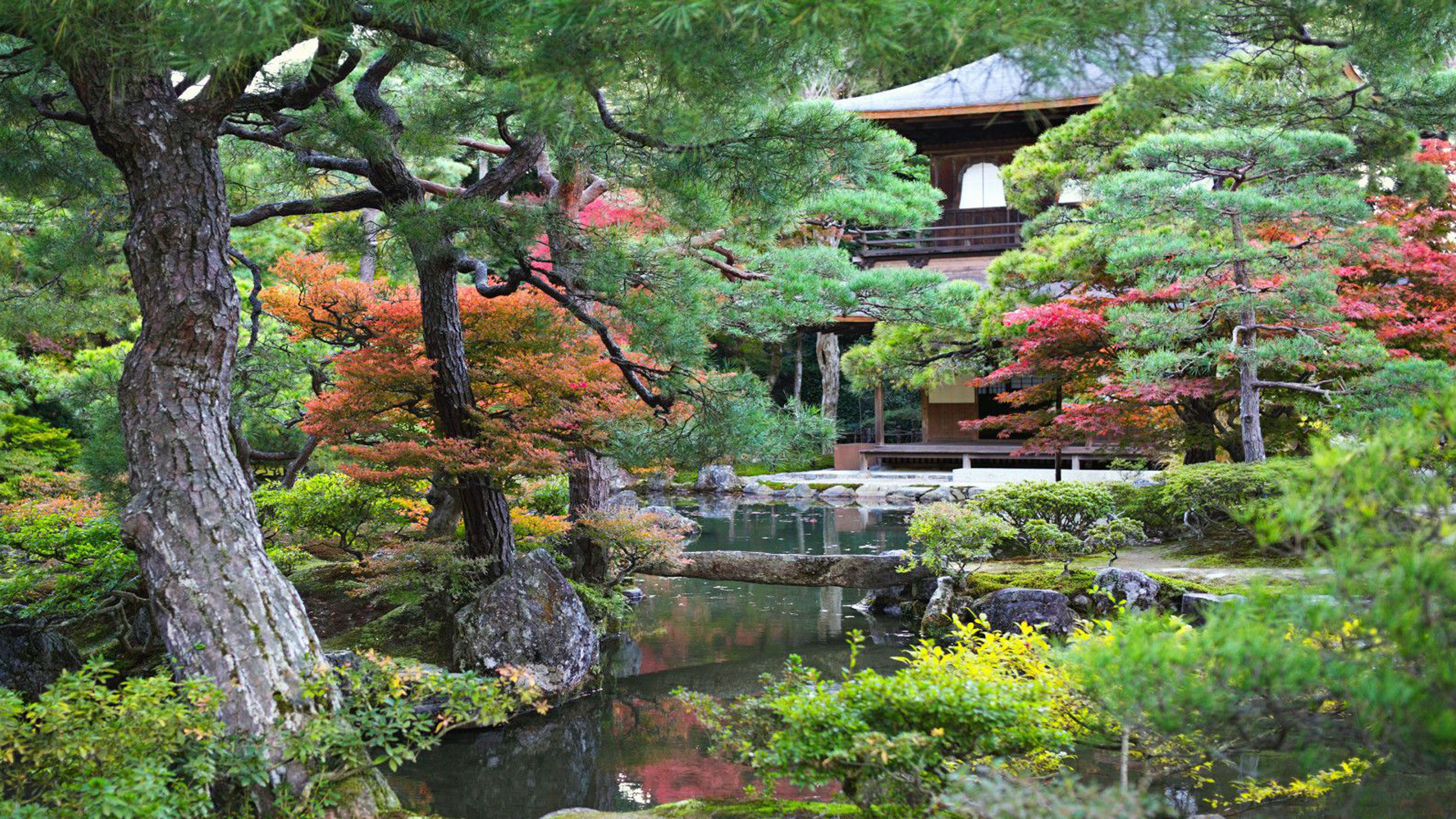A Sage of Wholeness