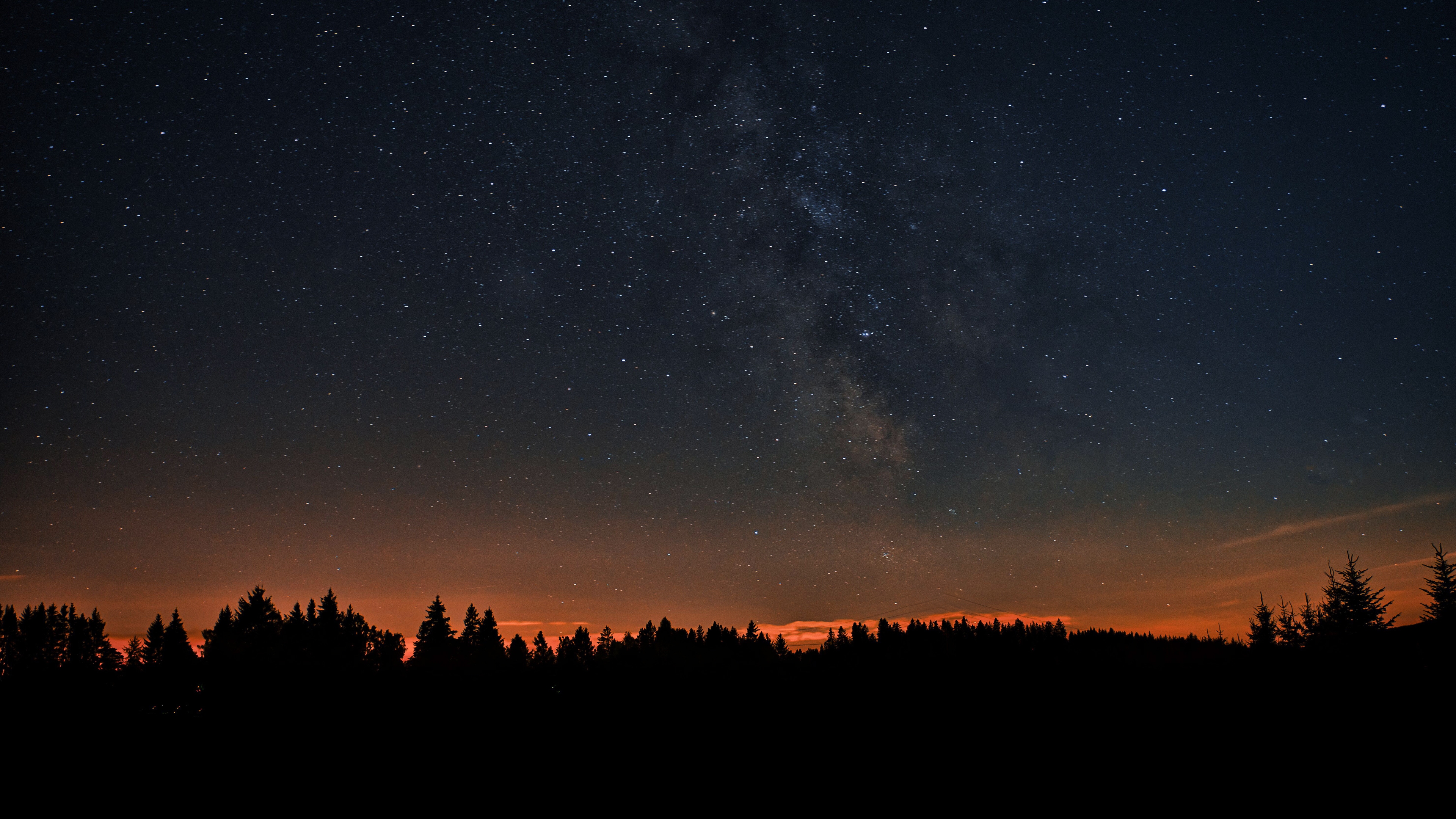 Absorbed by the Night