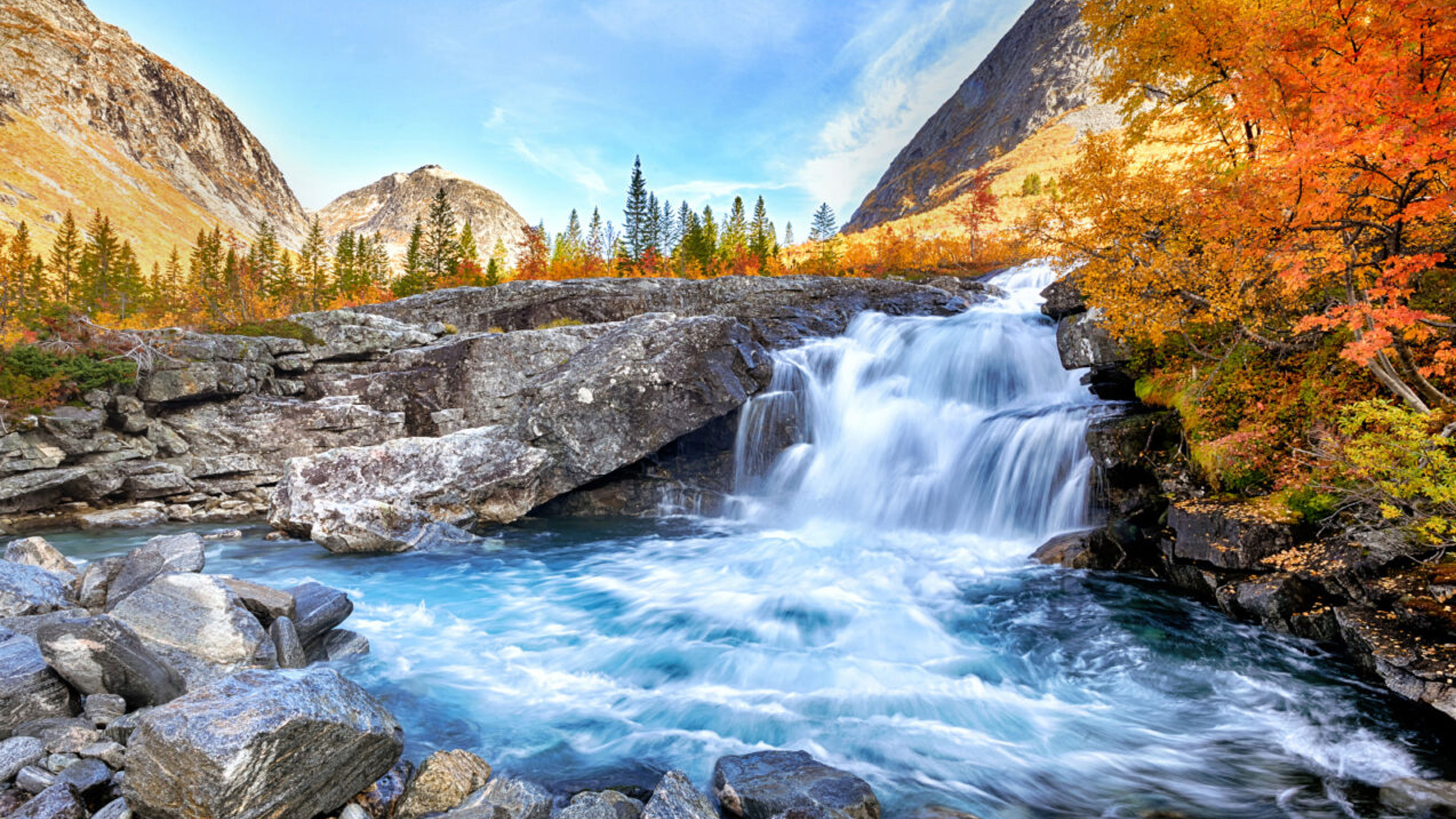 All Is Wholeness without Flaw