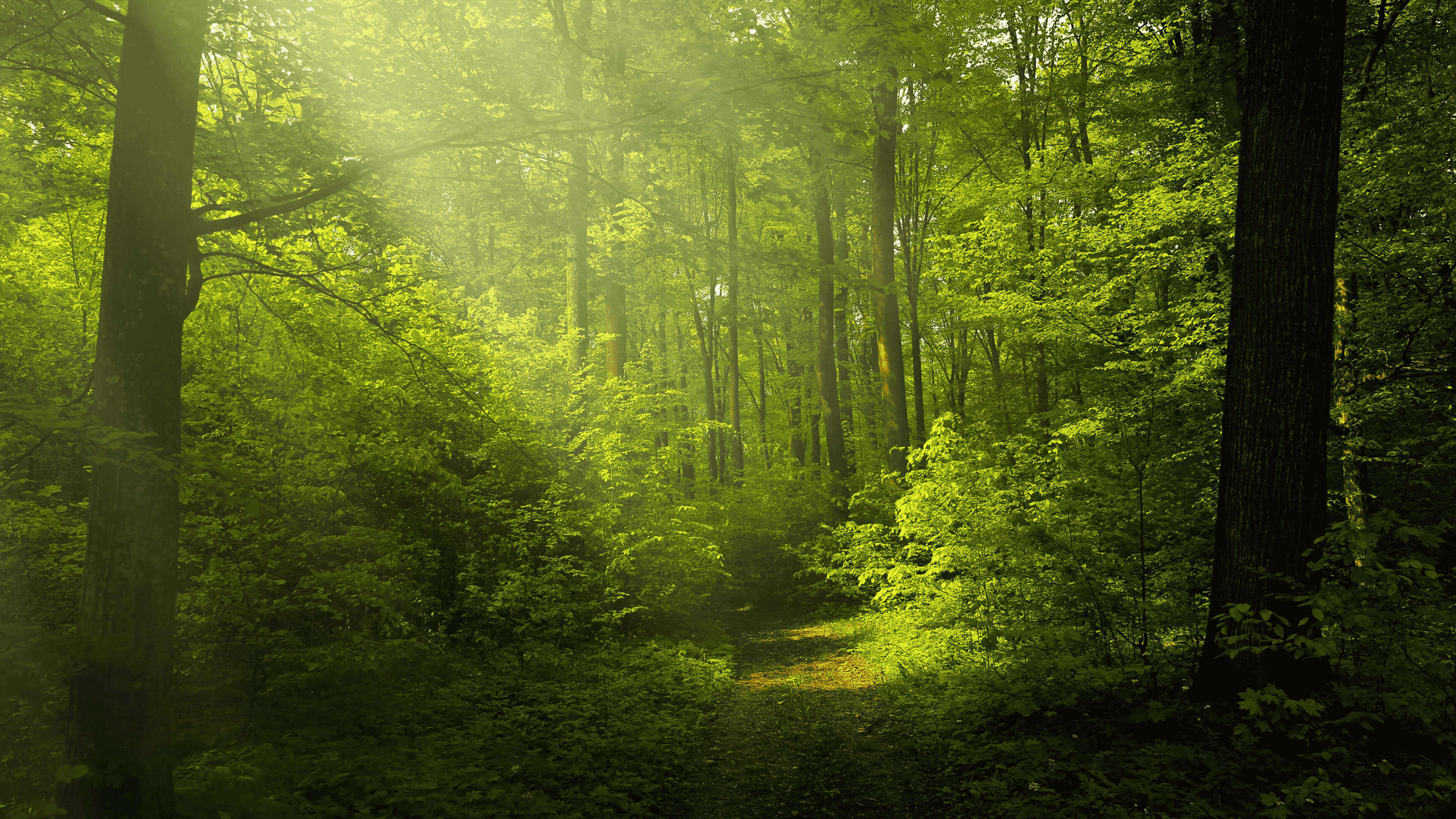 AtHome in Natural Wholeness