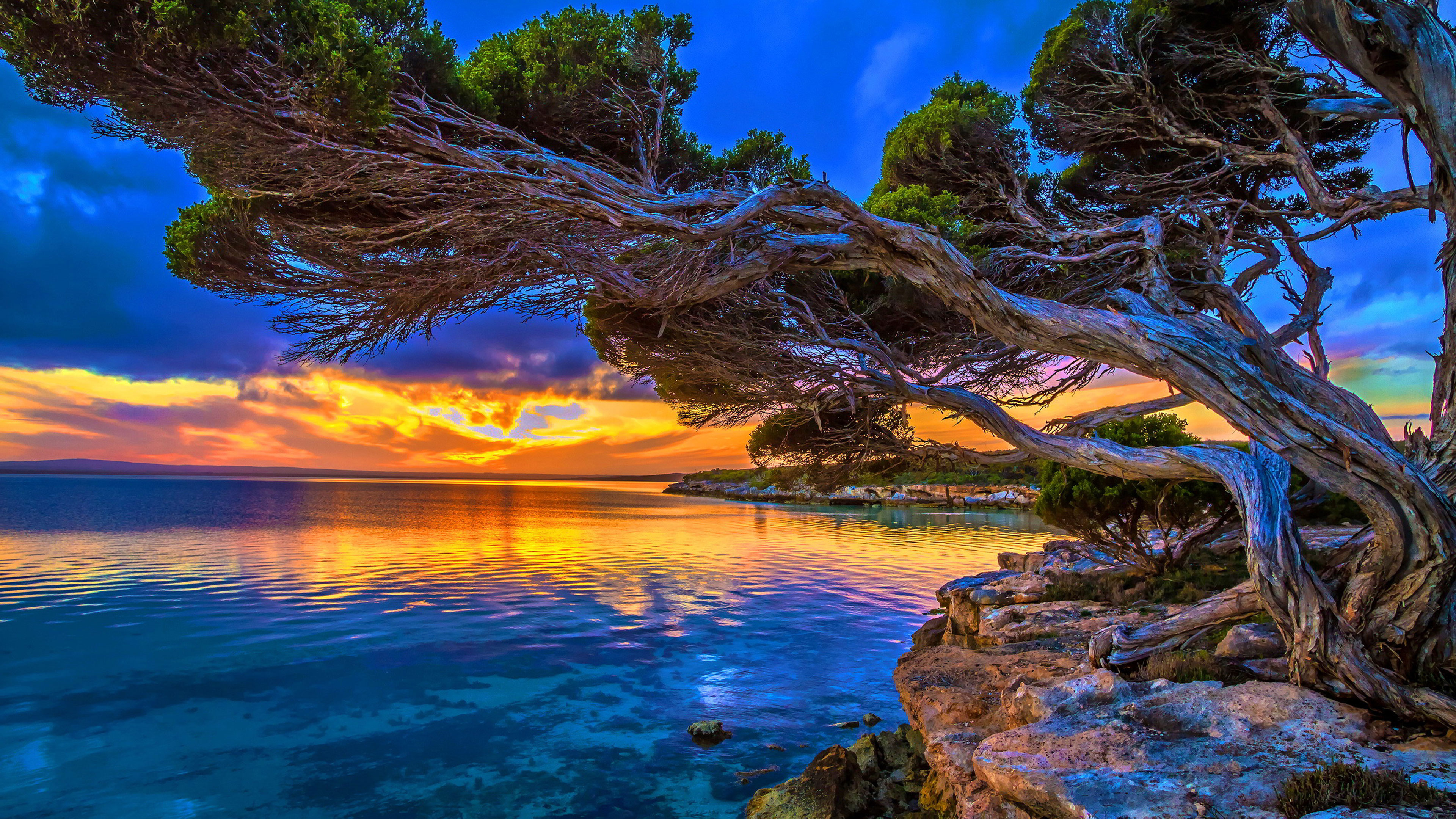 At One in Mother Natures' Garden