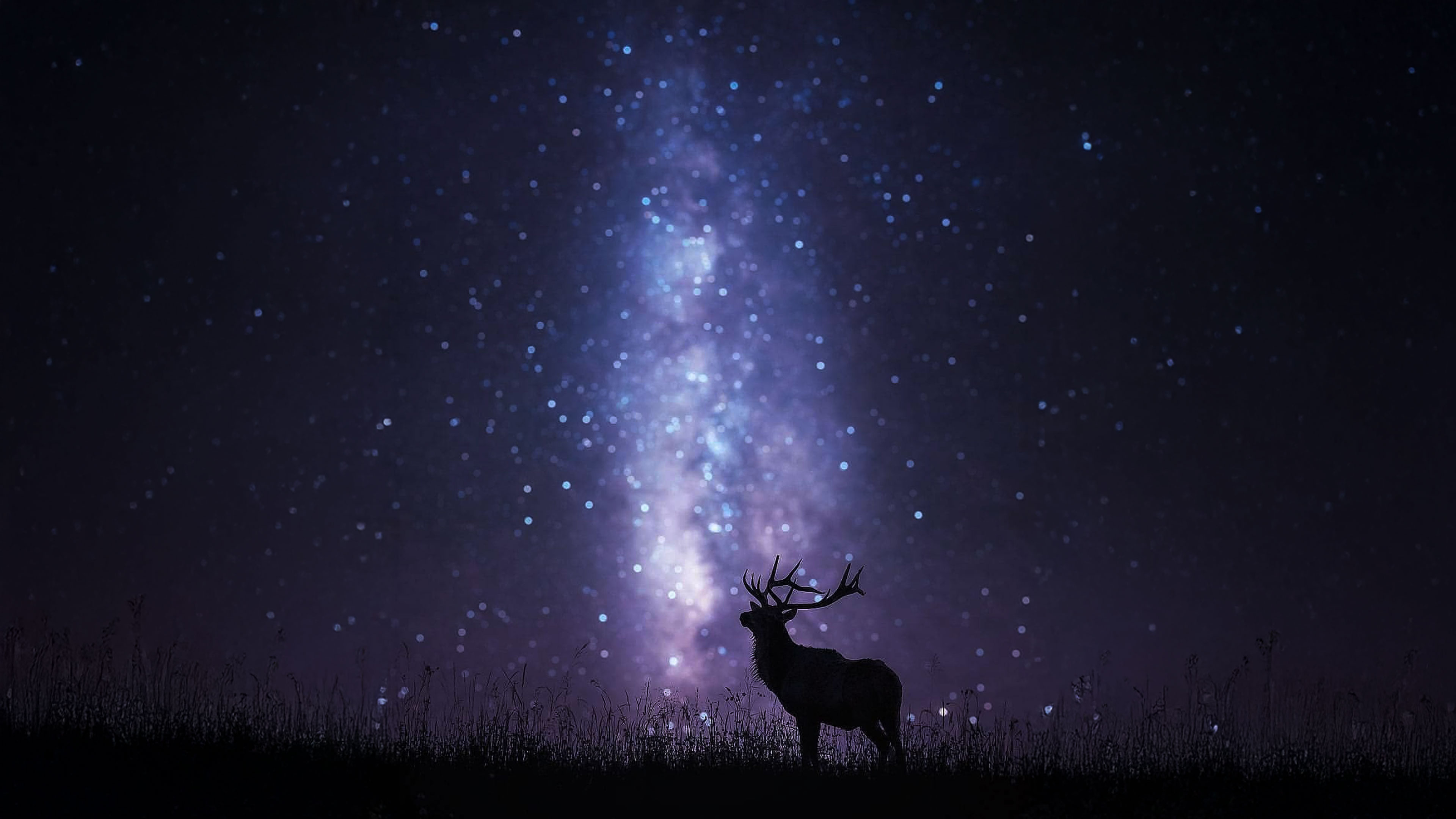 Connectedness