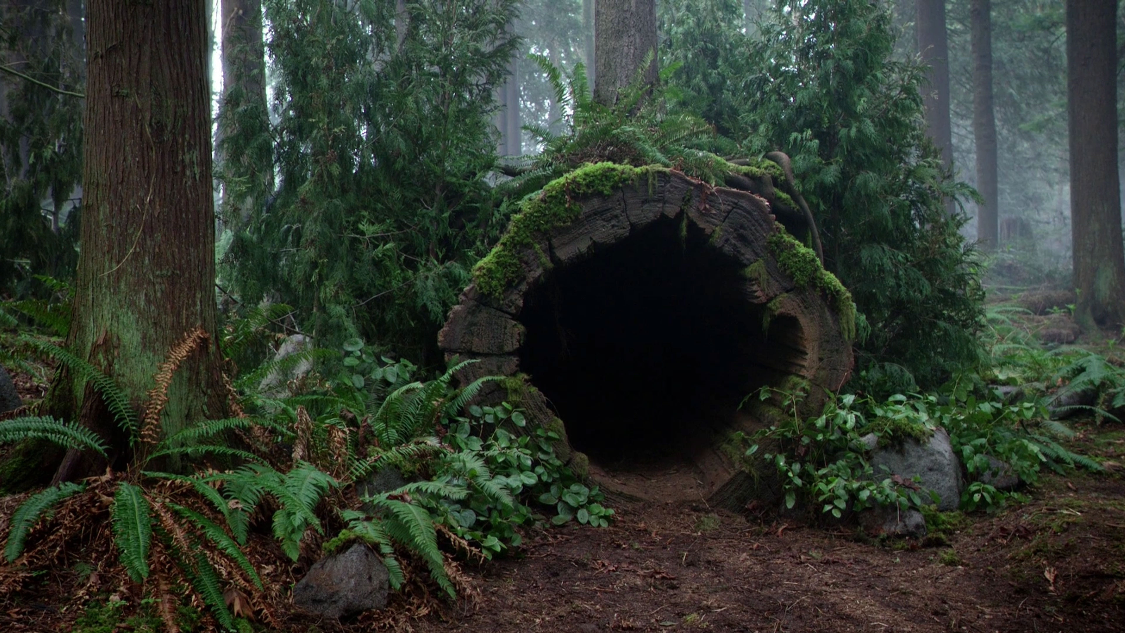 Deep Conscious Warm Darkness of AtHomeness