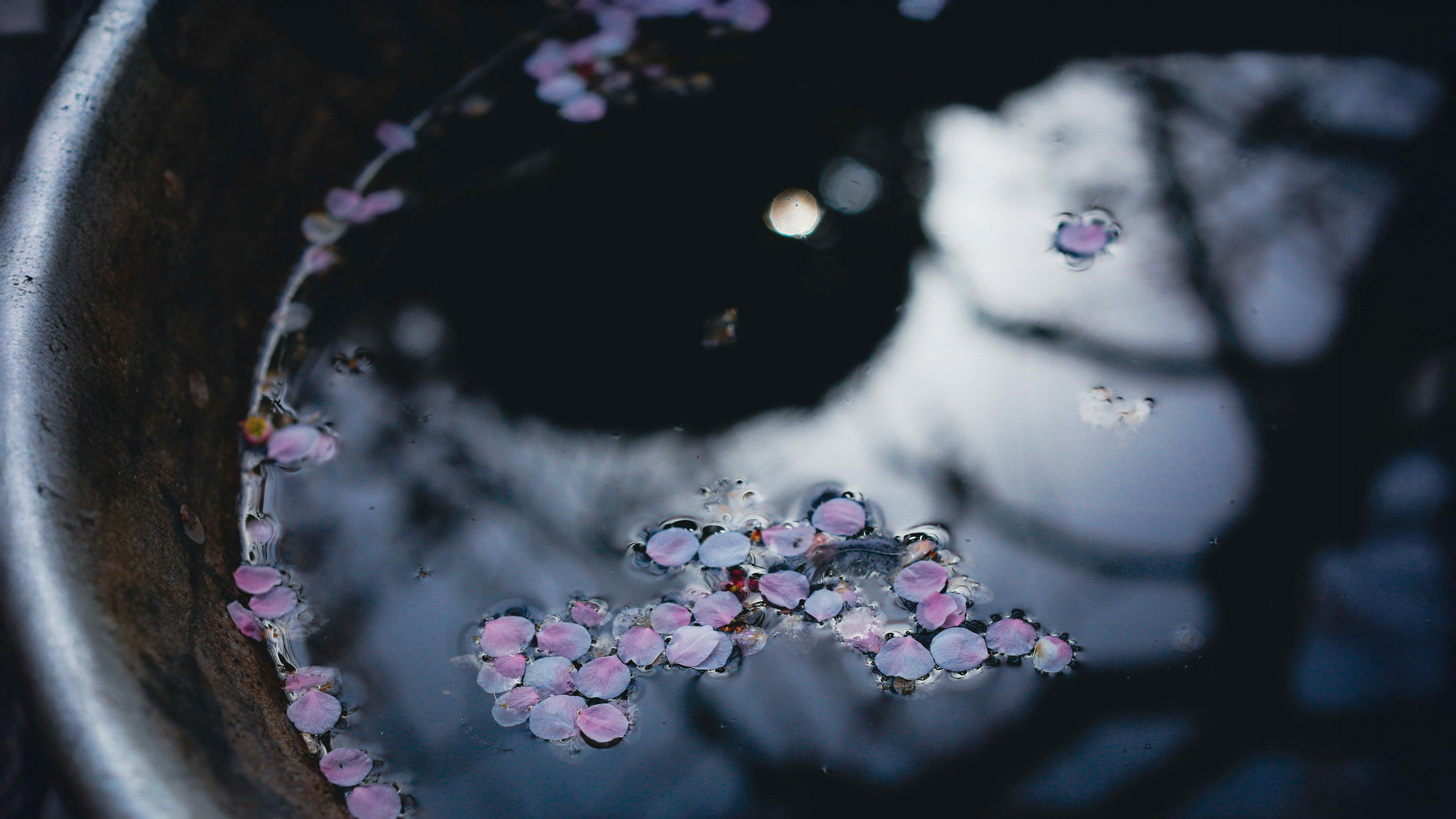 Deep Felt AtHomeness