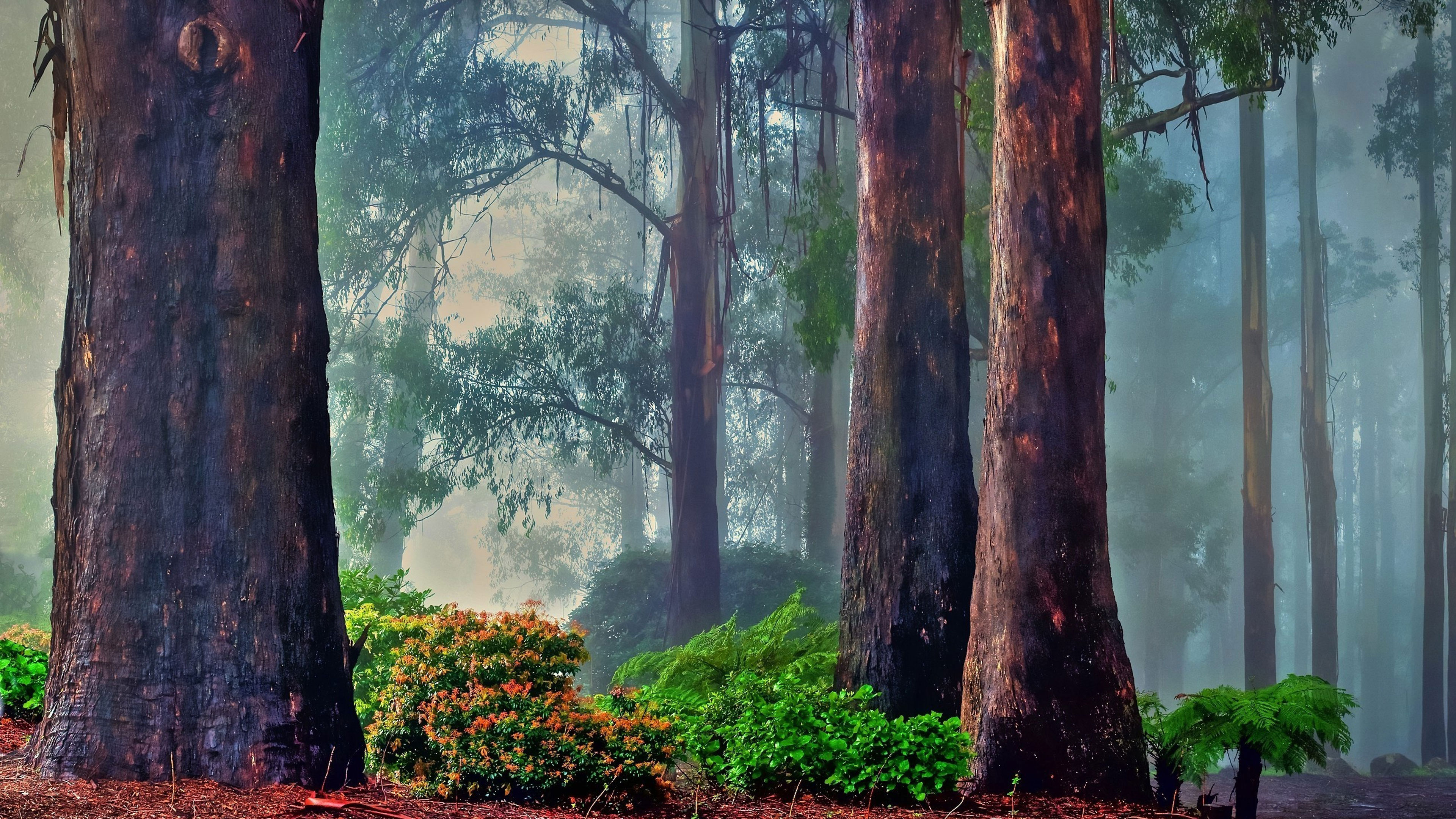 Deep Rooted Compassionate AtHomeness Motherful BeingHereness