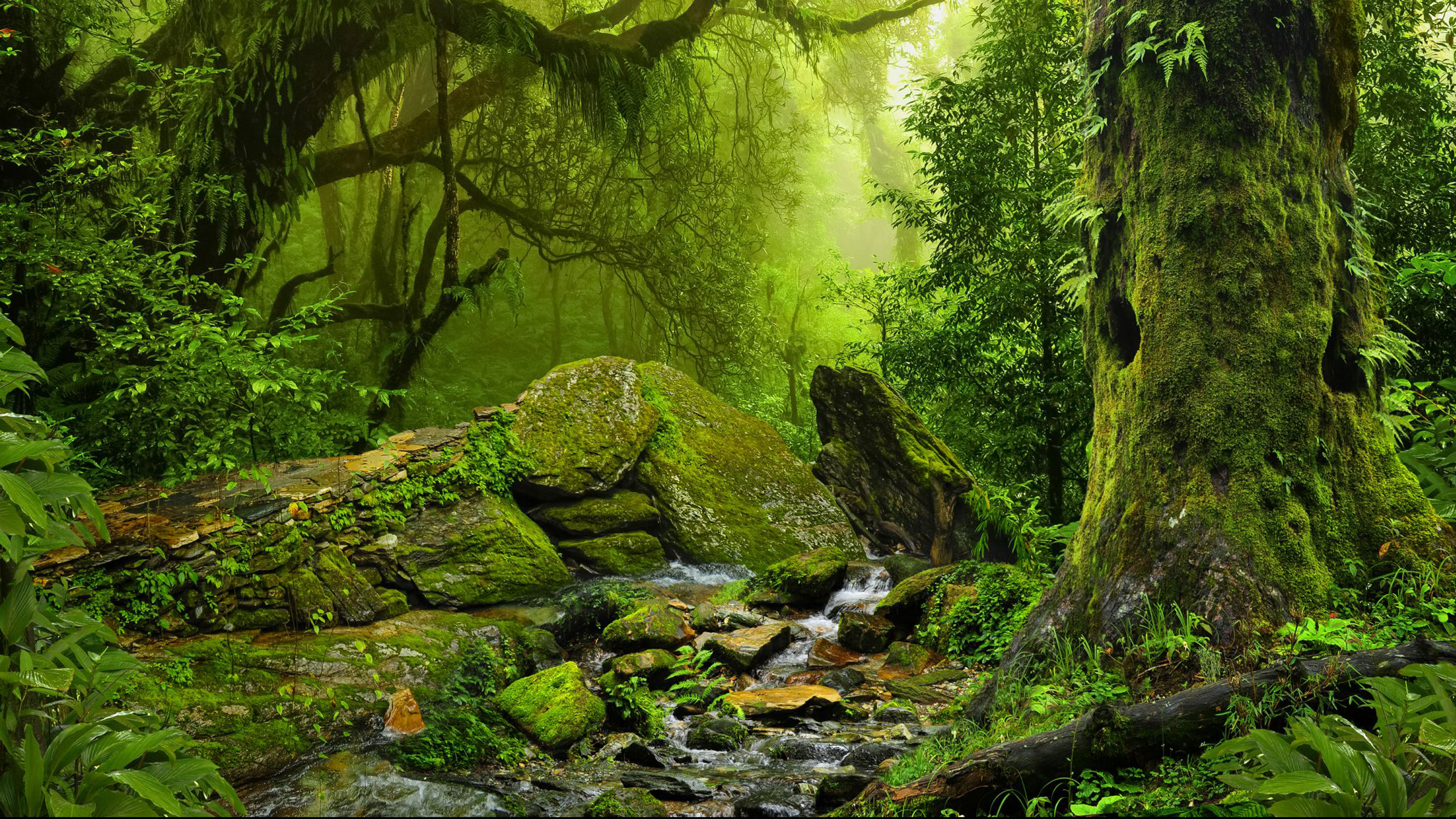 Deep Rootedness in Existential Wholeness