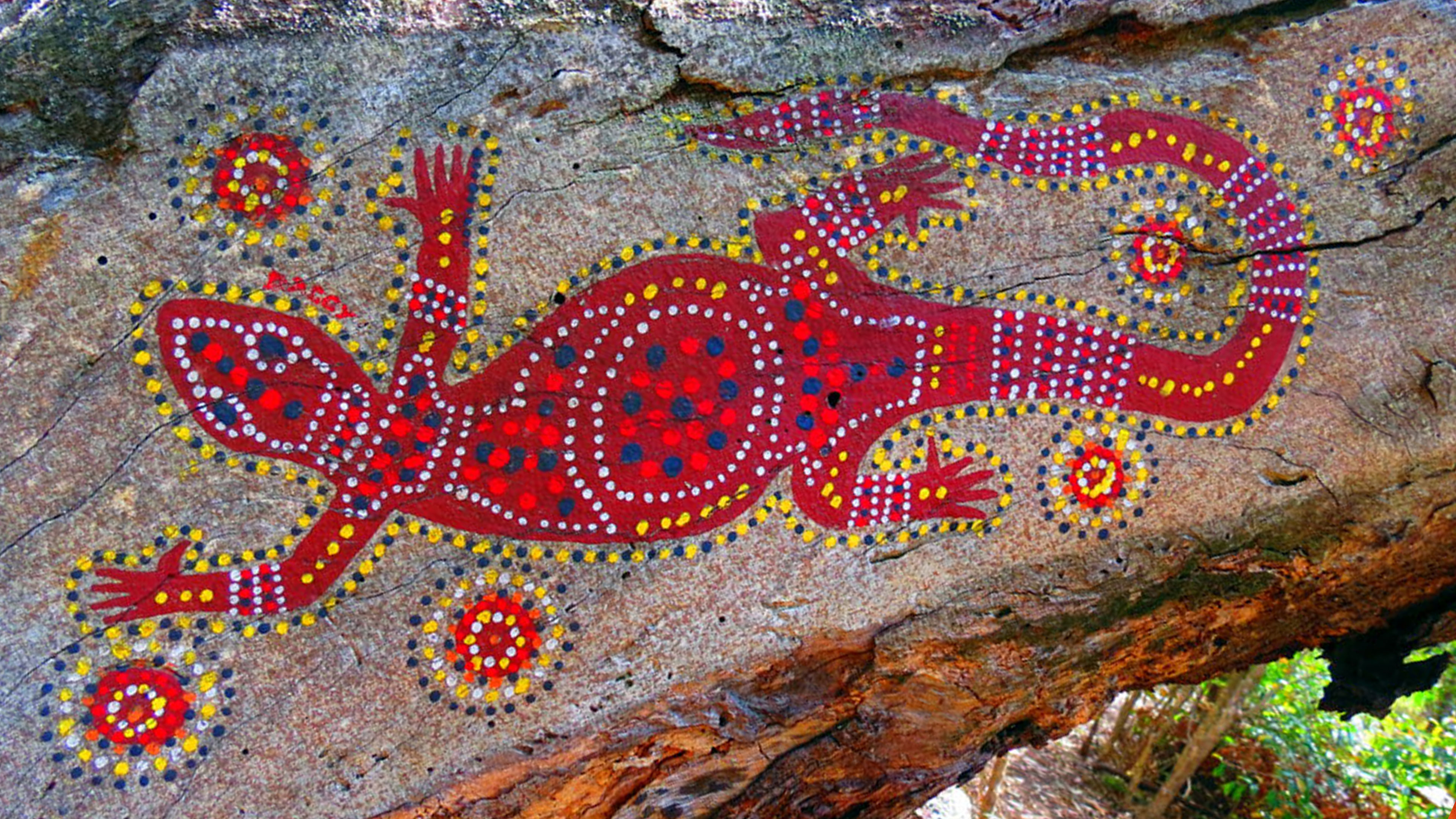 Deeply Rooted in Wholeness And Beyond