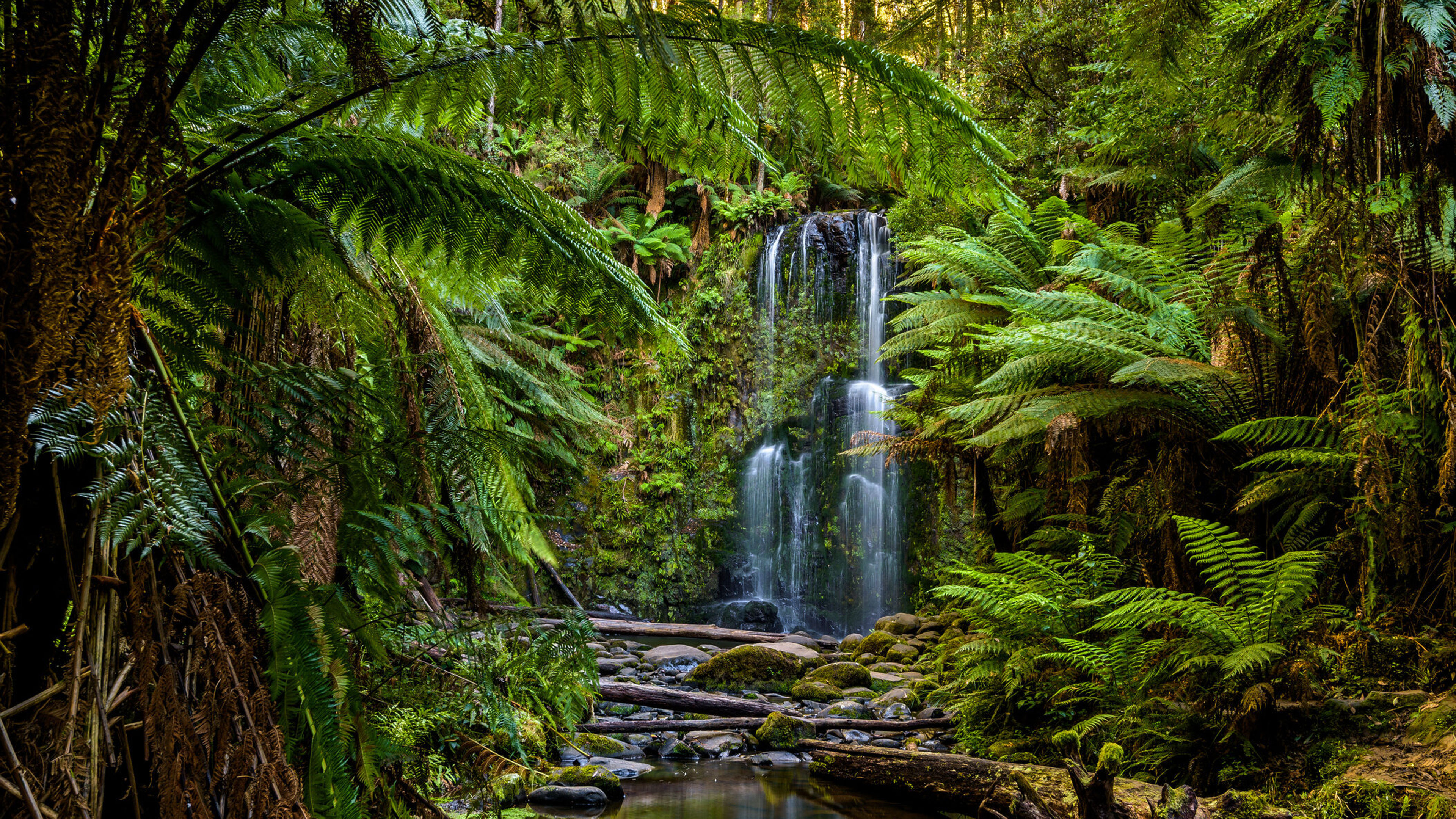 Dissolved in Osho Dissolved In You