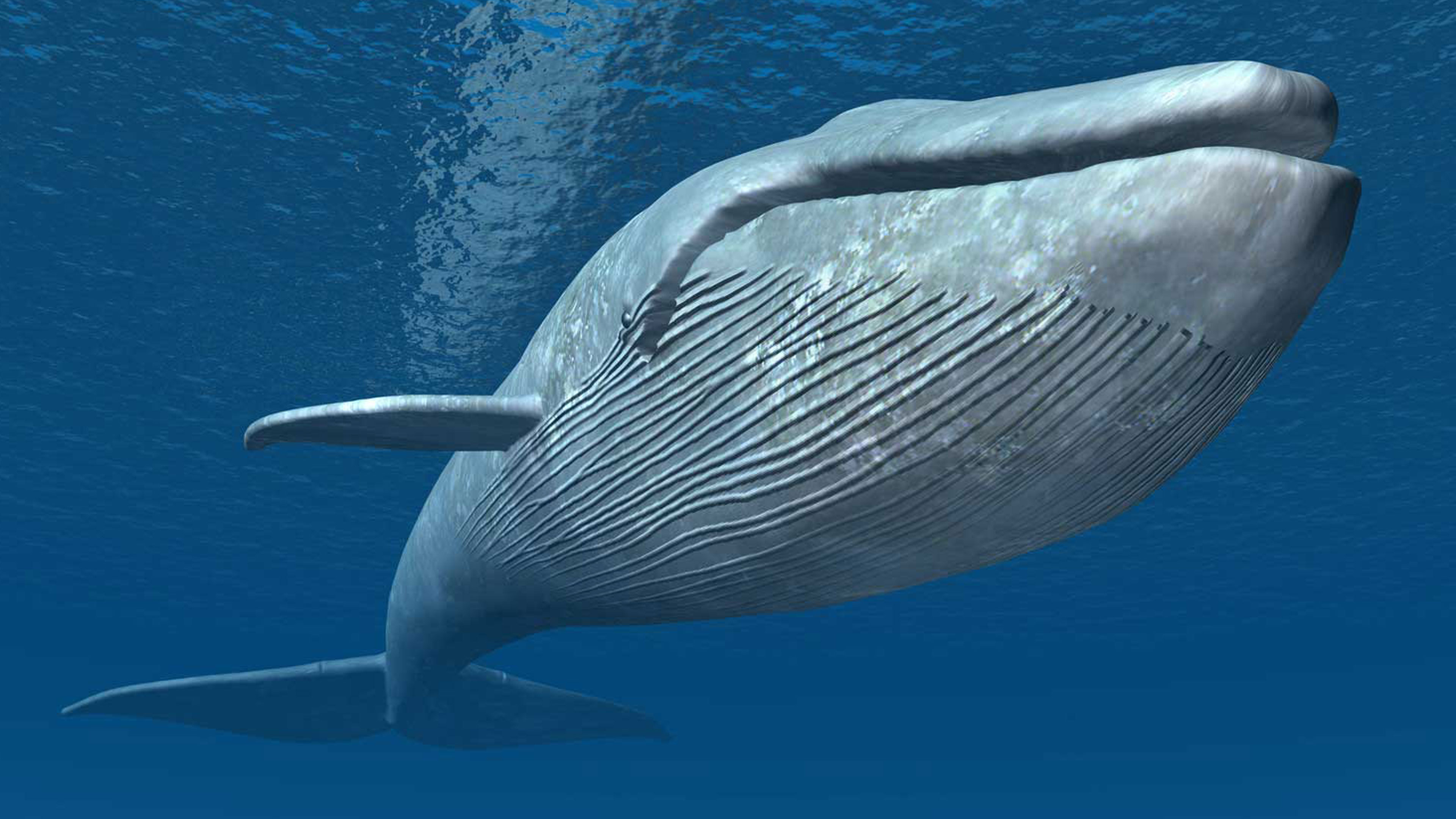 Dissolved in the Ocean of Mother