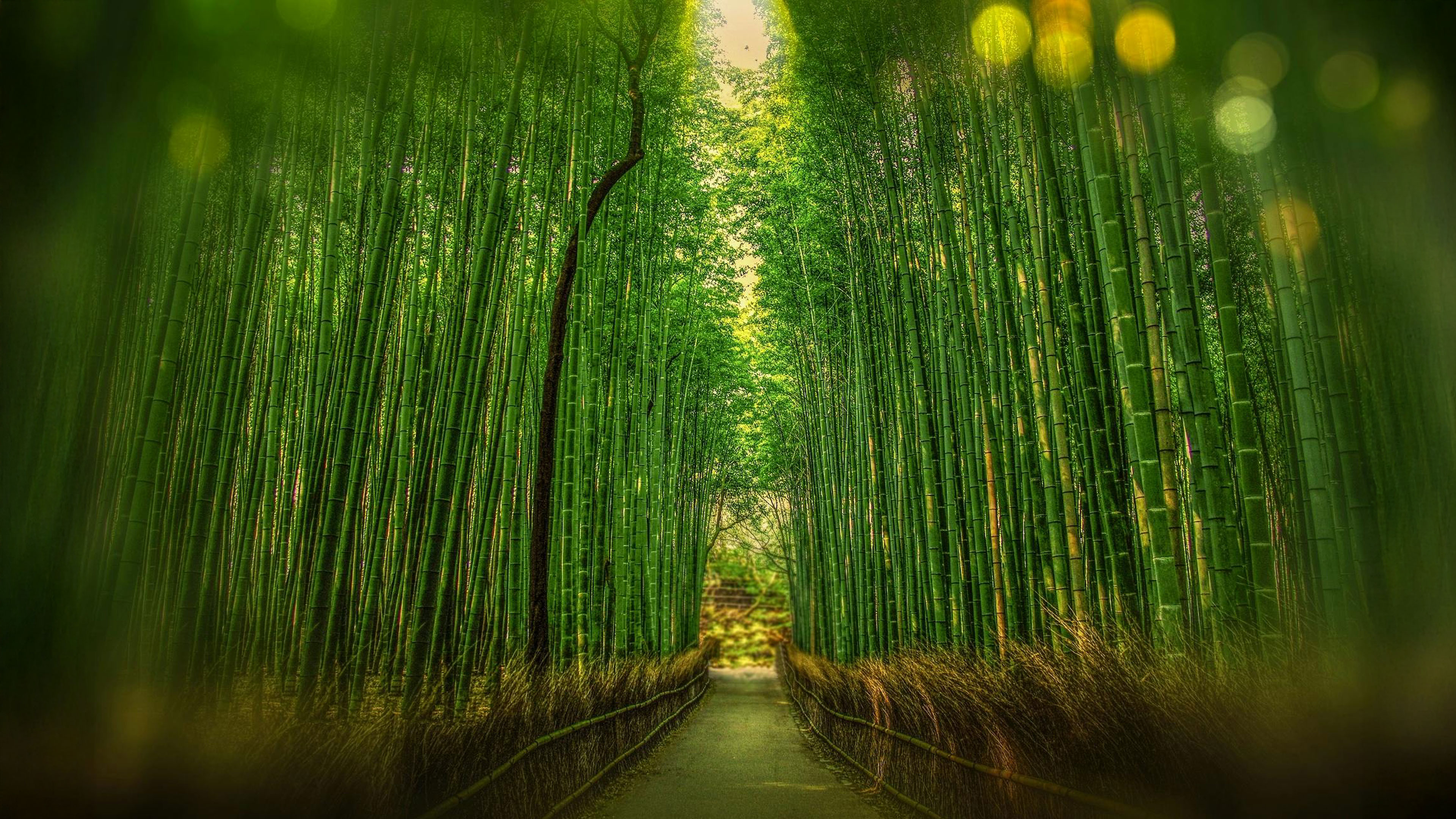 Emptiness Then Fullness Comes by Itself