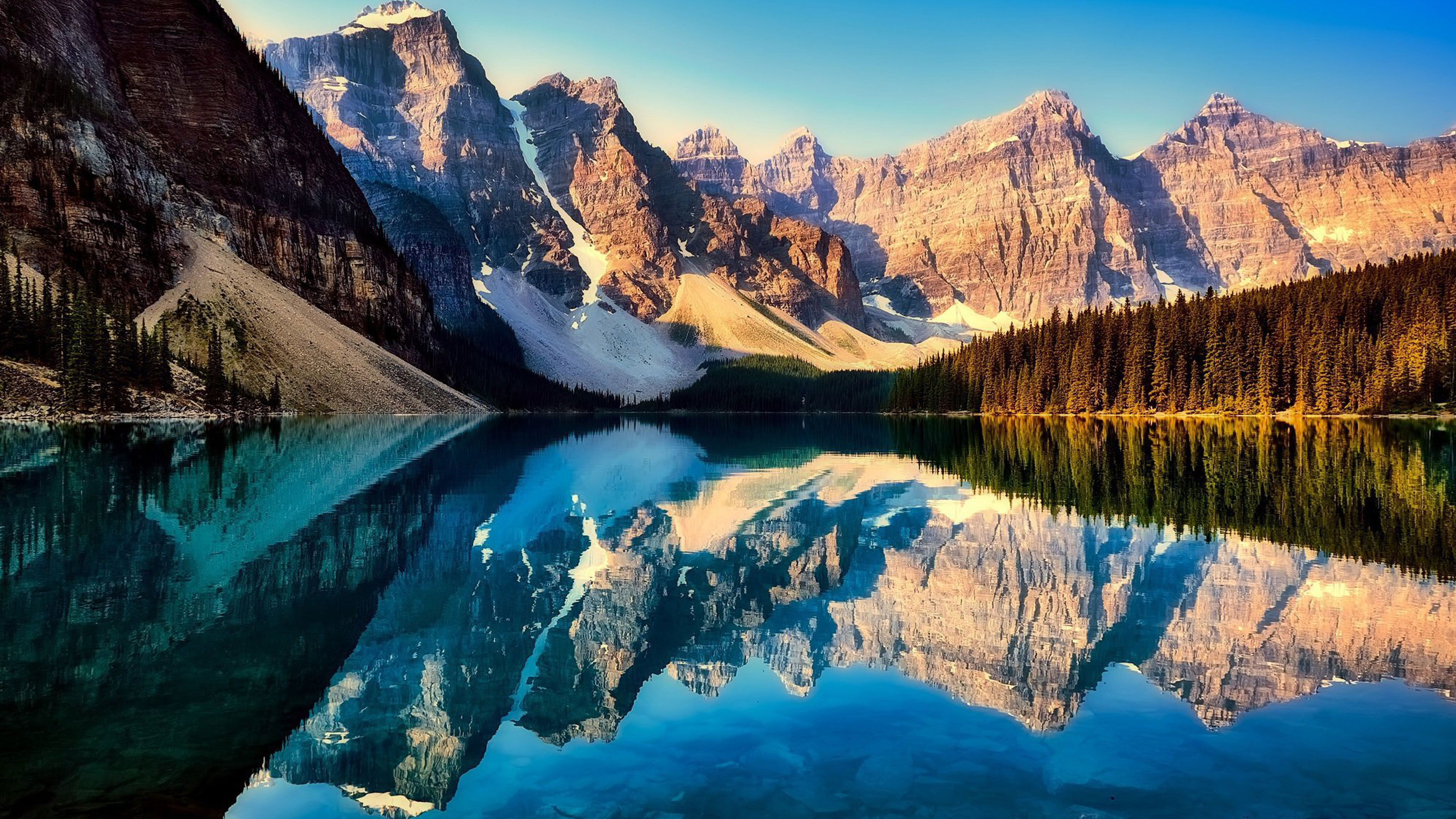 Empty Mirroring the Whole