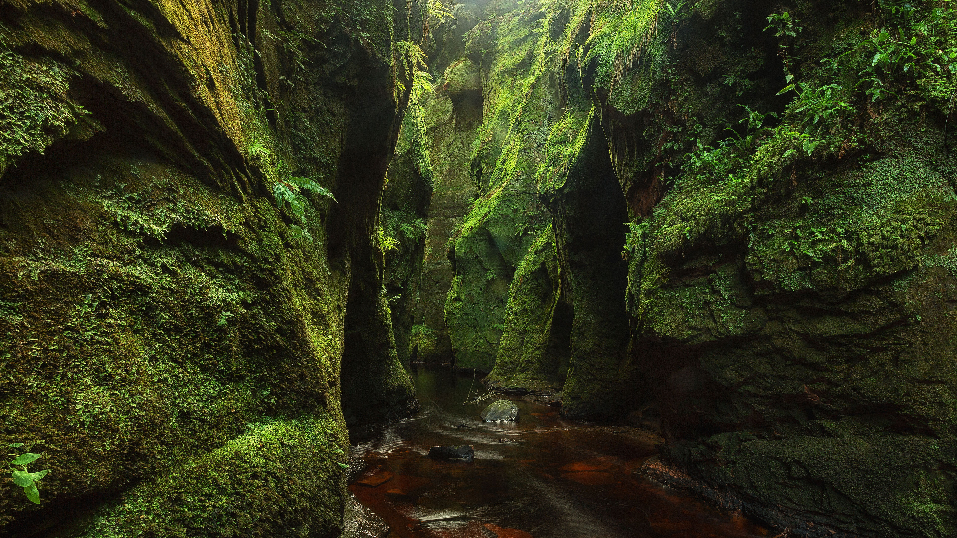 Entering Withinness