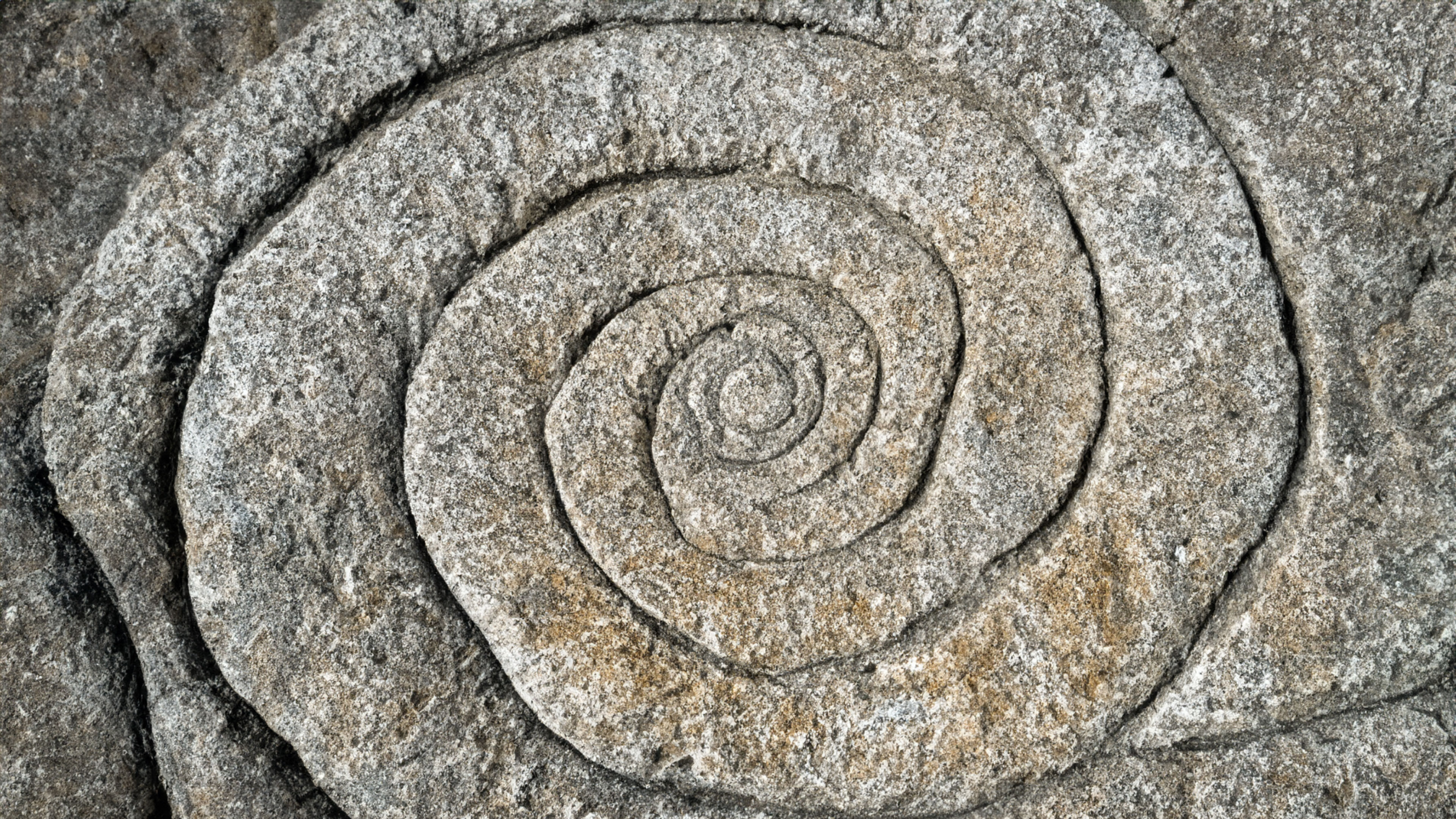 Healing into Wholeness