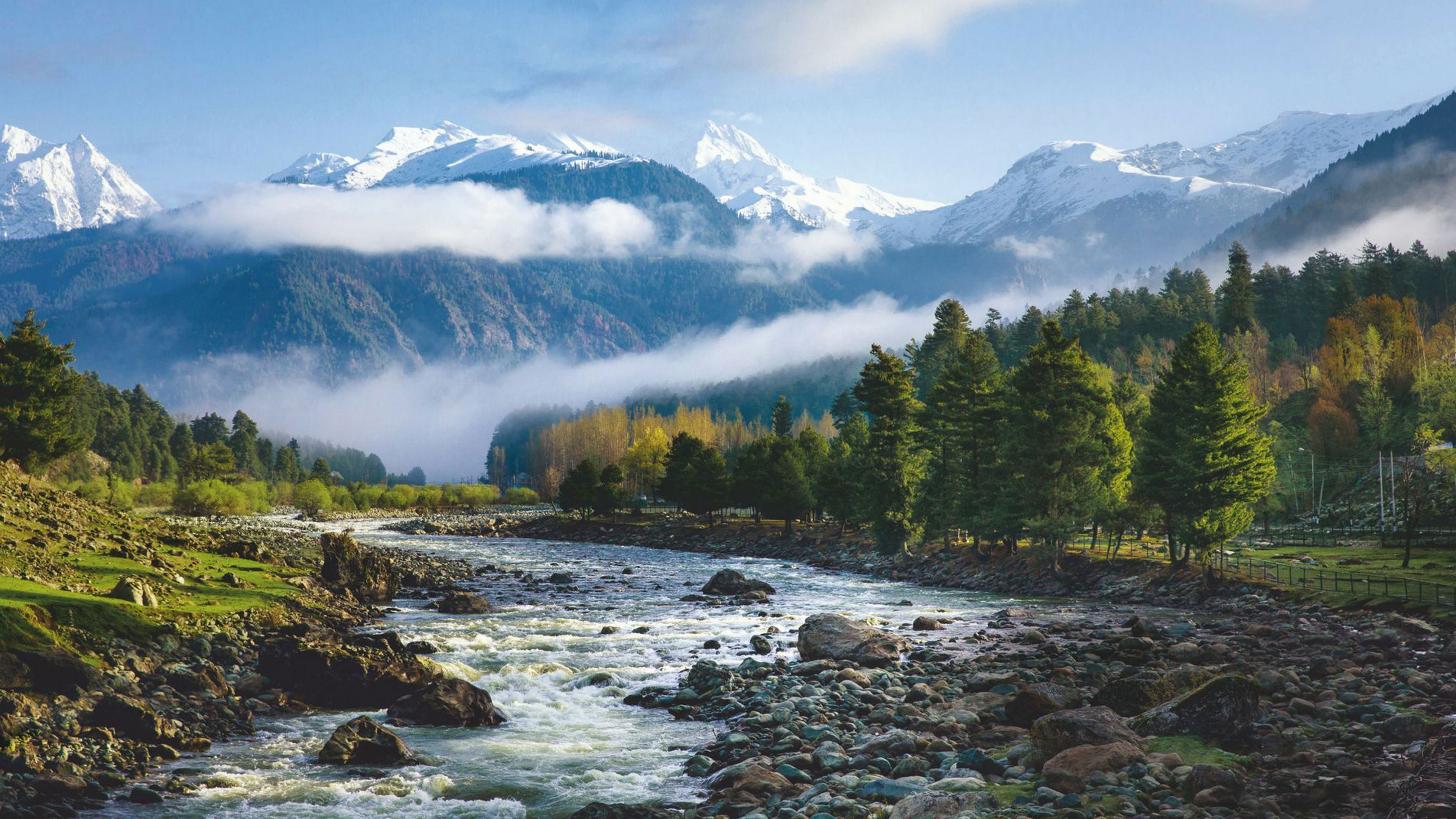 Heaven on Earth, The Wonderful World of Wholeness