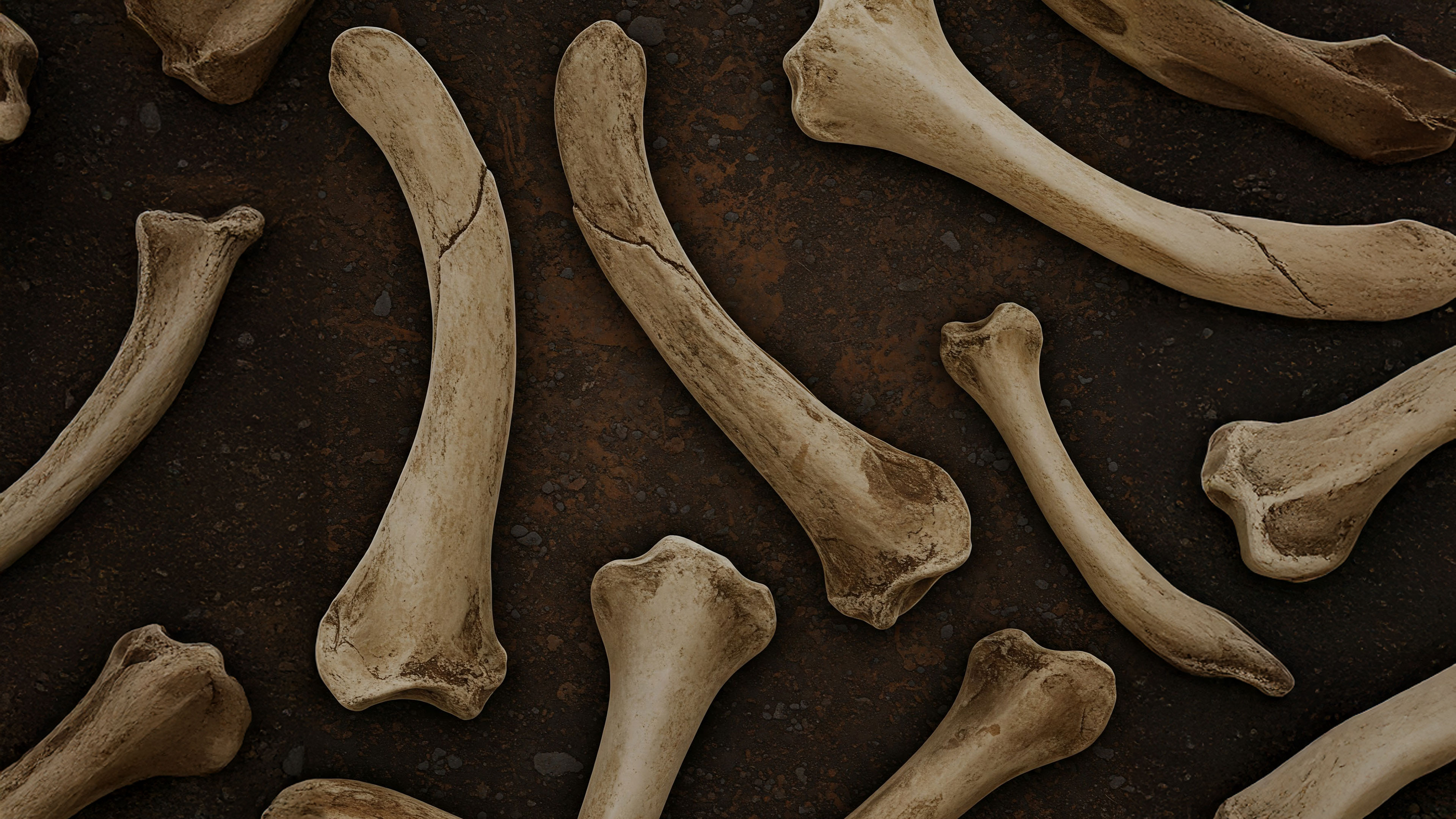 Hollow Bone Wisdom