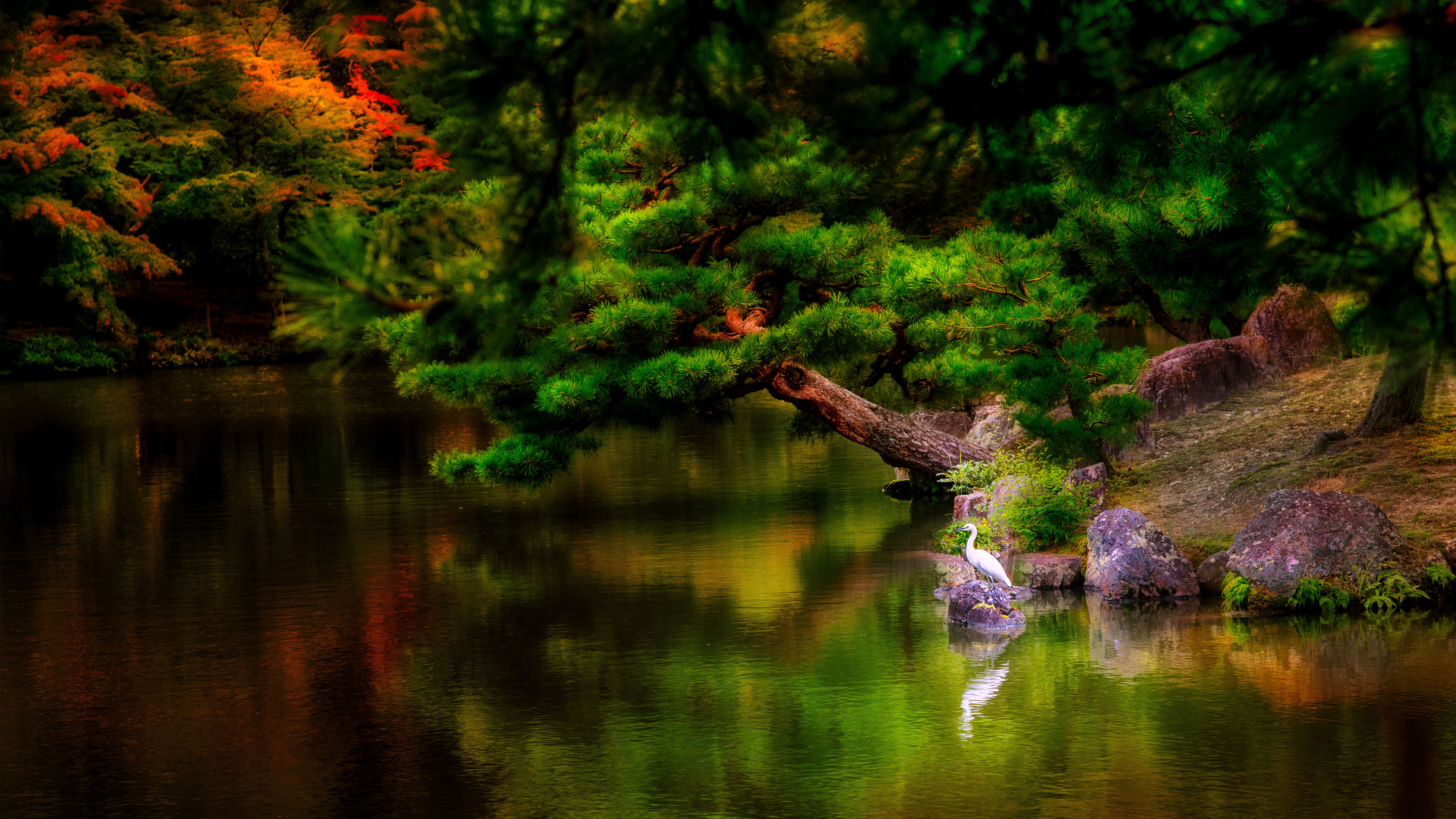 In Mother's Garden of Wholeness