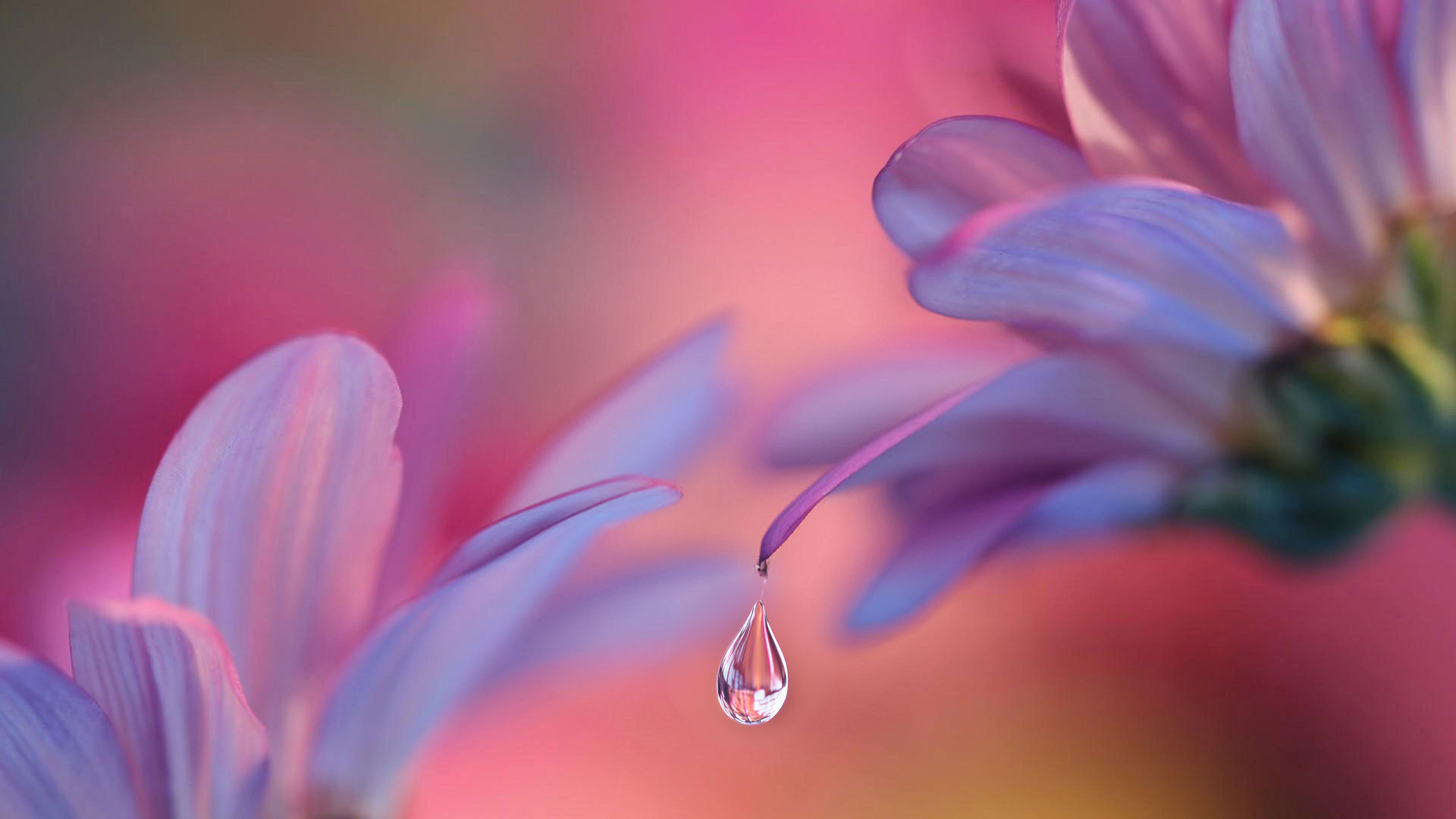 Letting Go Into Gentleness and Weightlessness