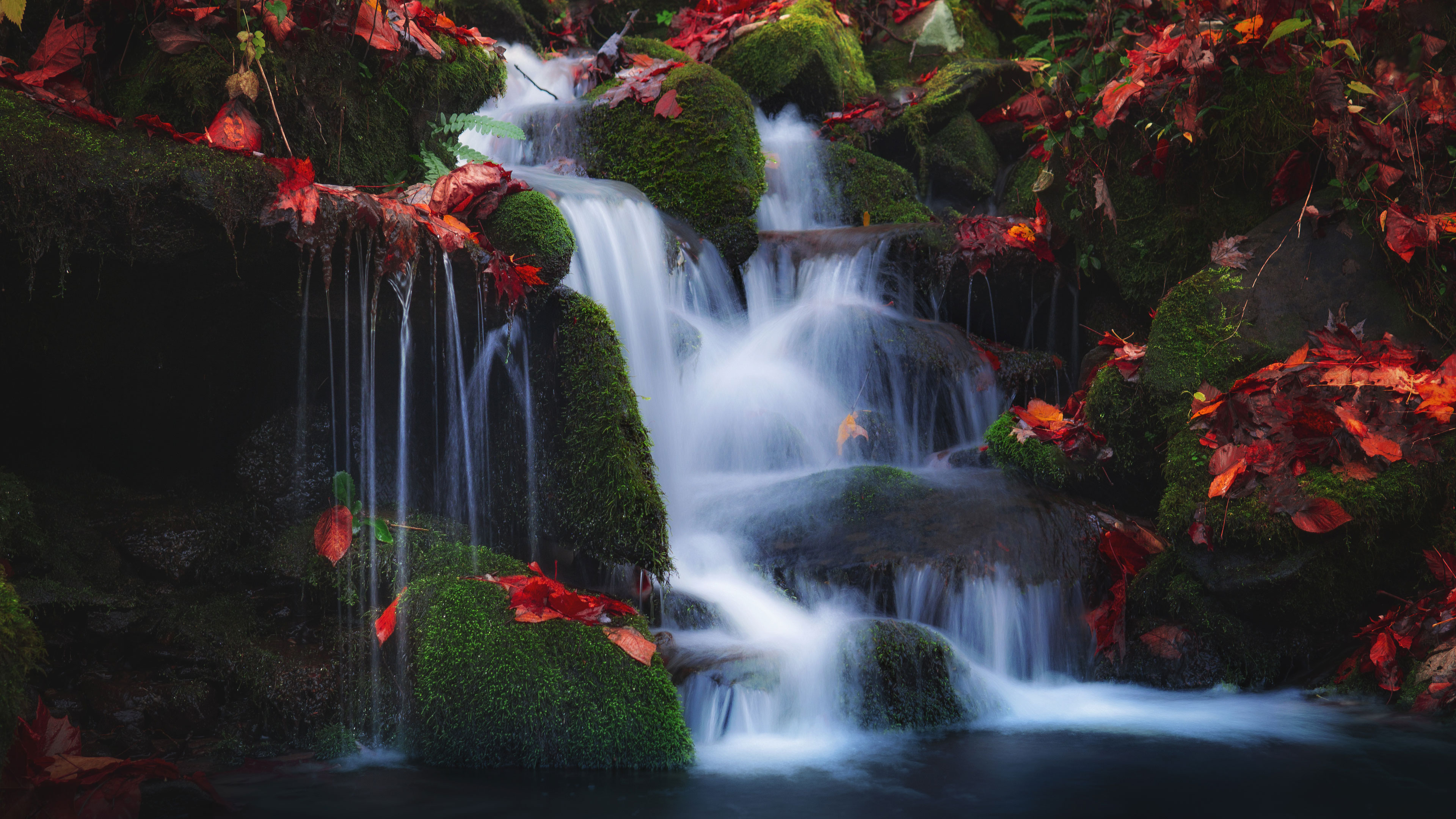 Living Gentle Tender Openness