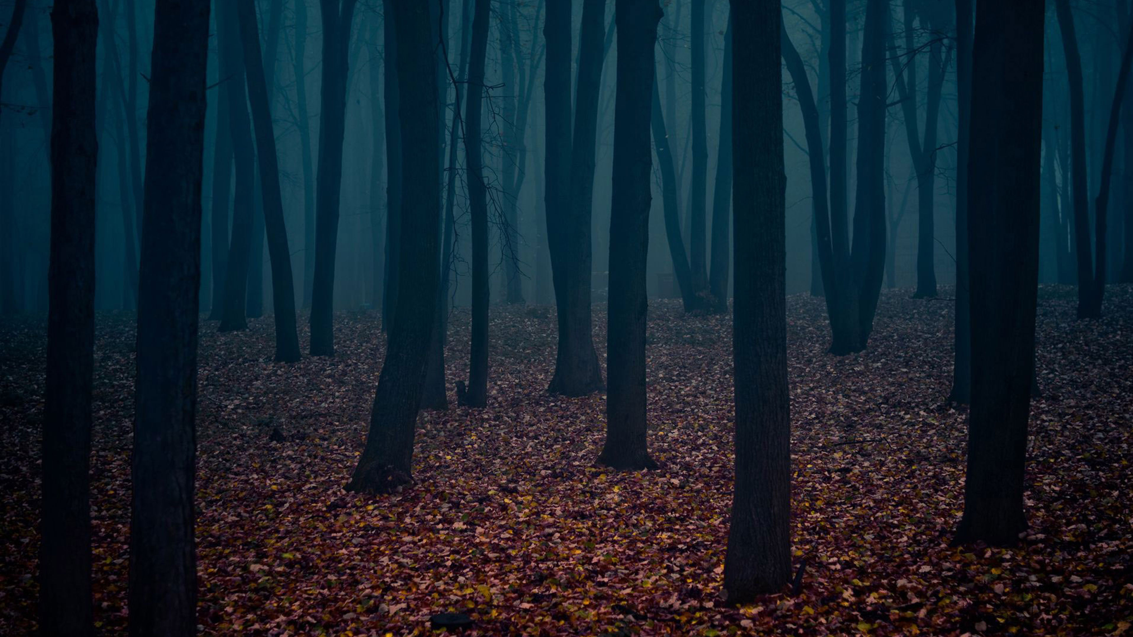 Loveliness of the Whole