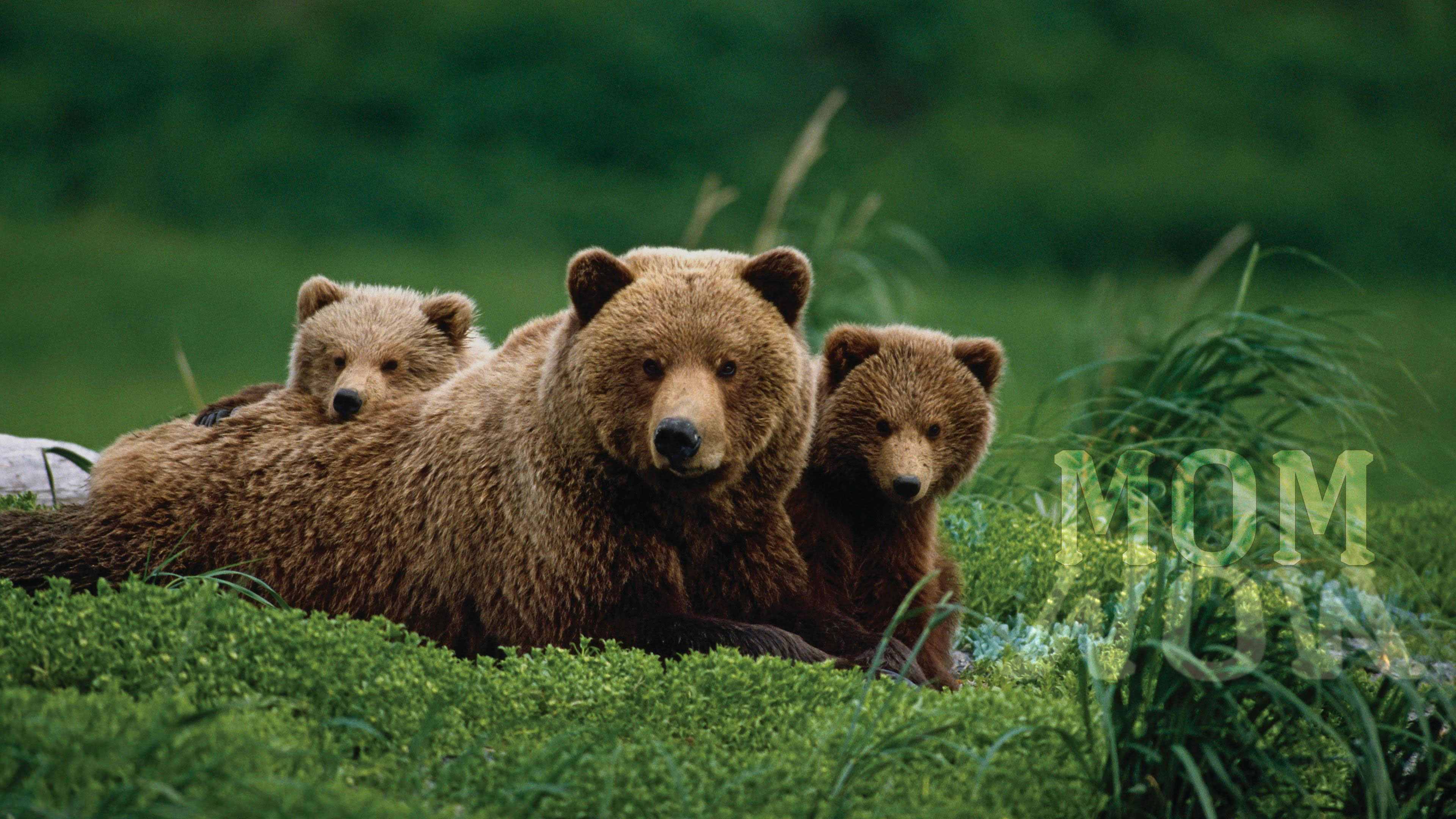 Mother Only Mother - Wonderful Organic Wholeness