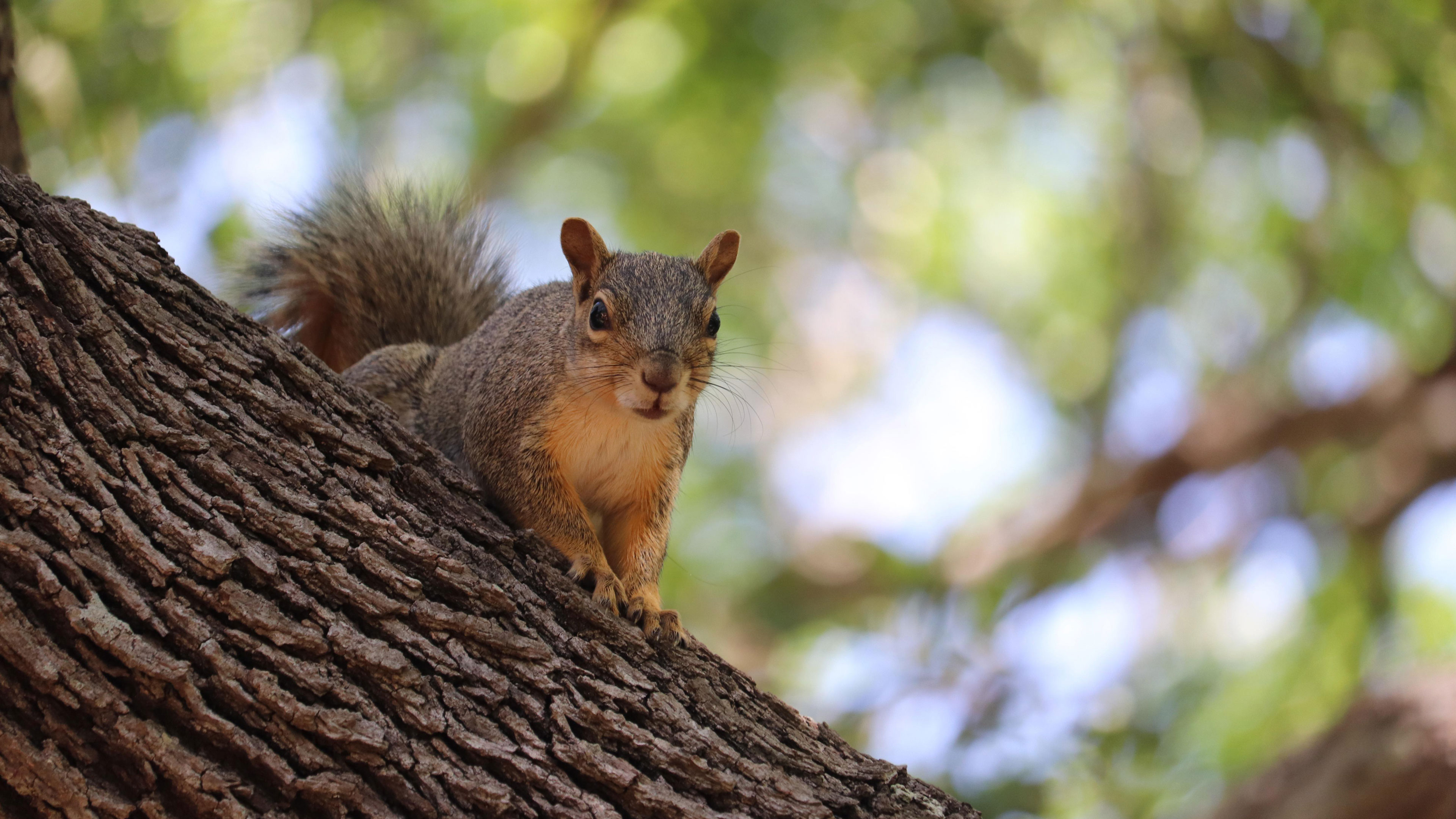 Nearness Dearness Tenderness