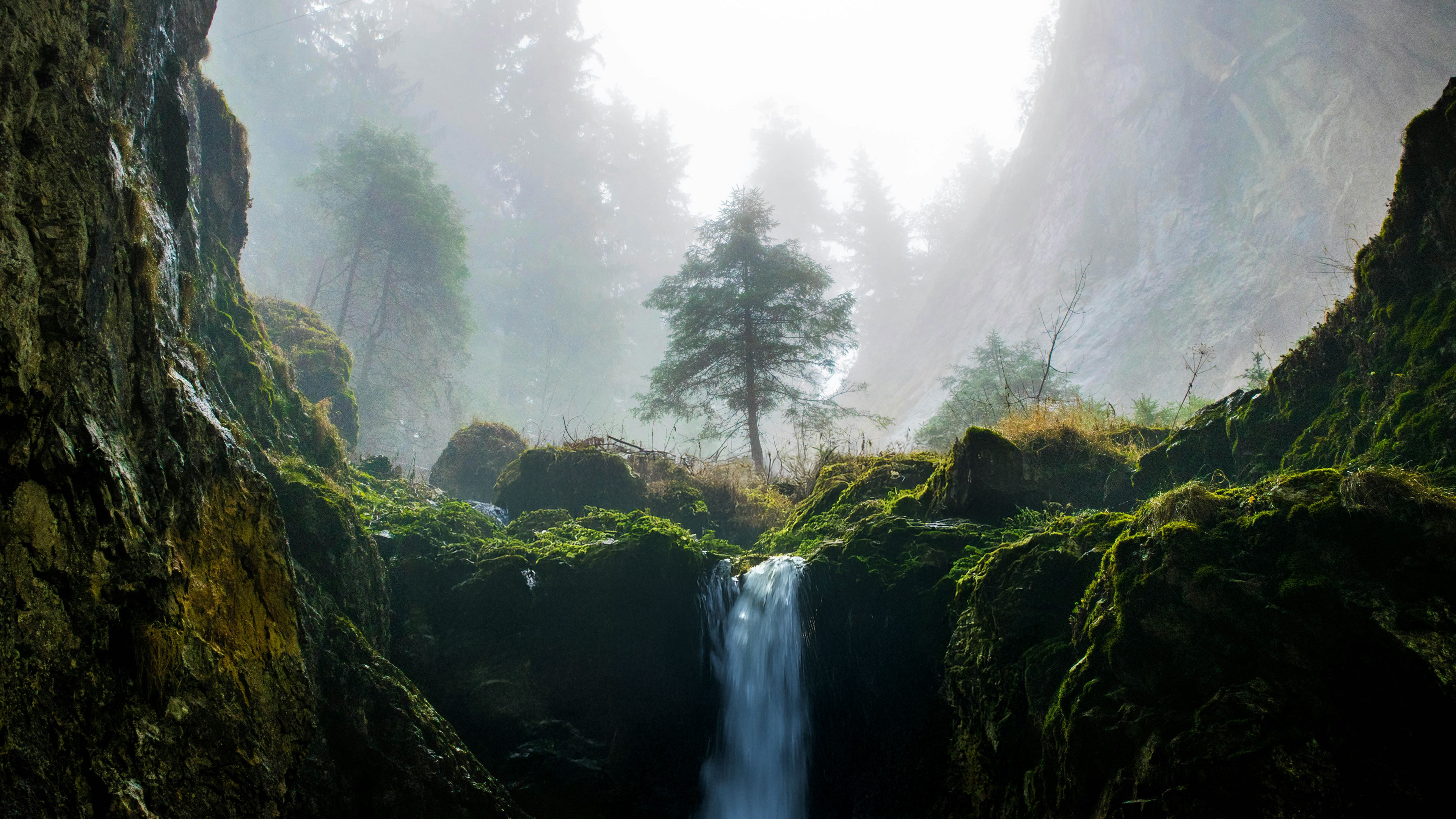 Prayerful AtHomeness in Mother