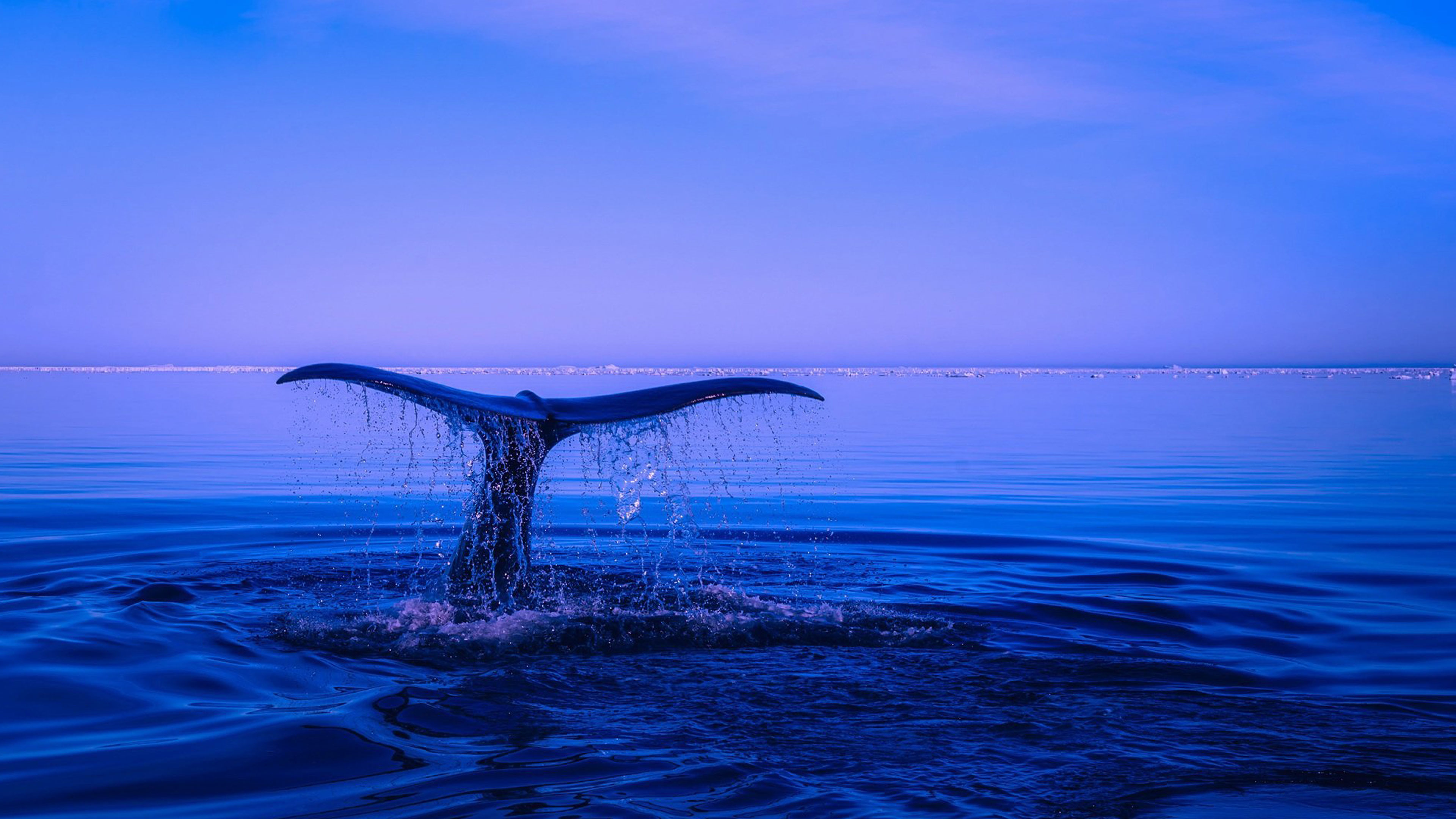 Return to the Oceanic Mother