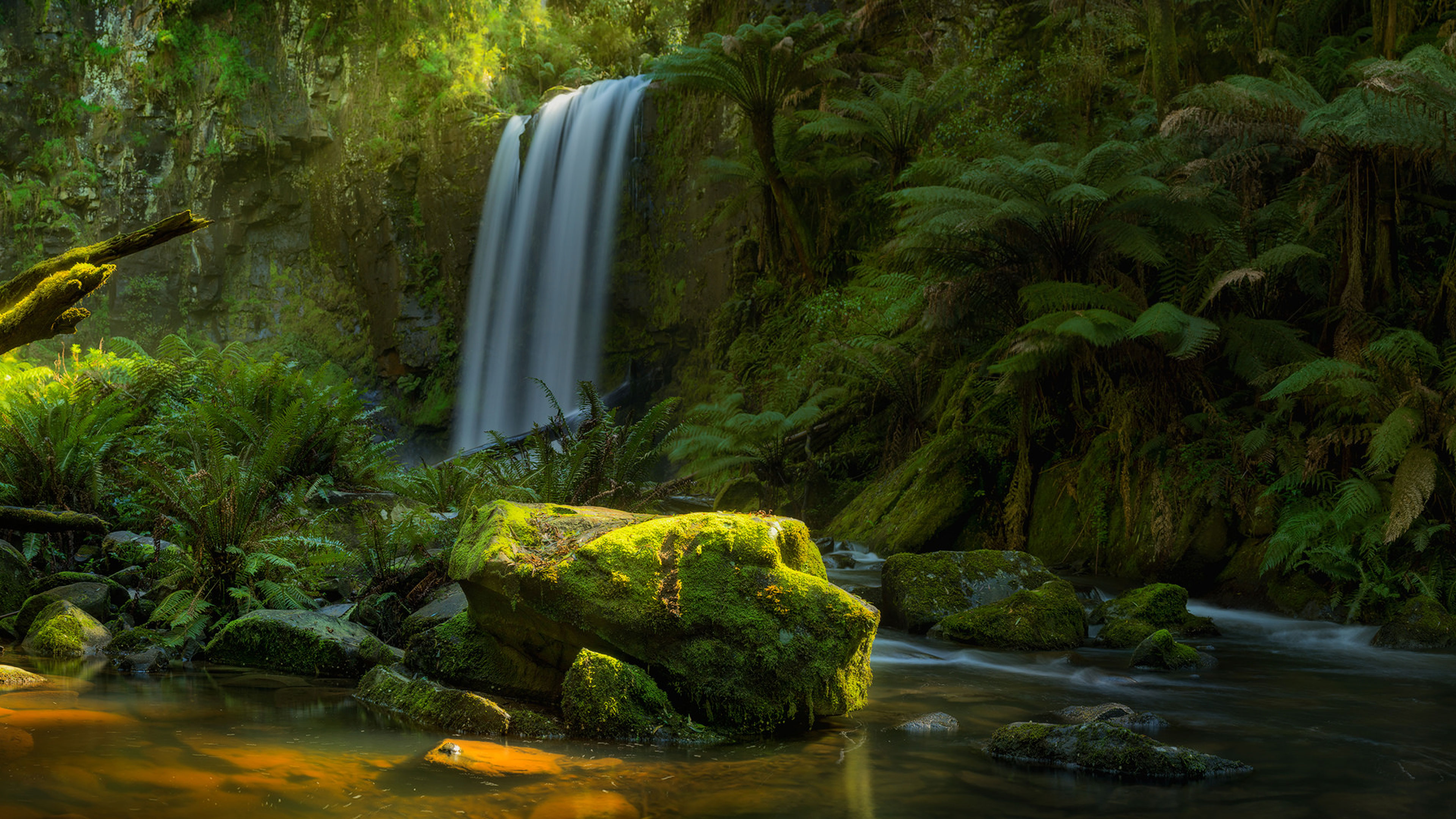 Rooted in Primordial Reality