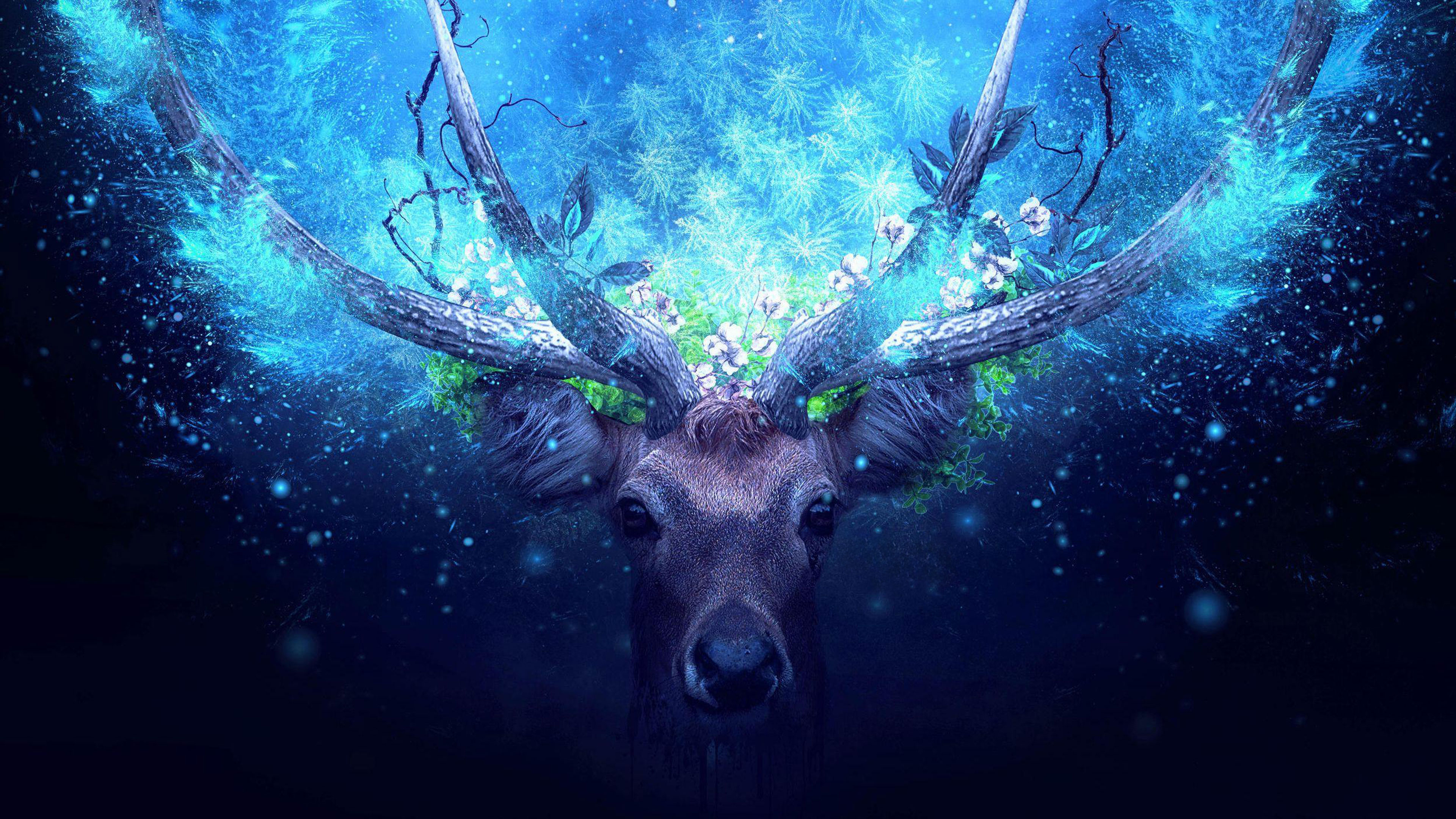 Shamanic Christmas is F(Actual)