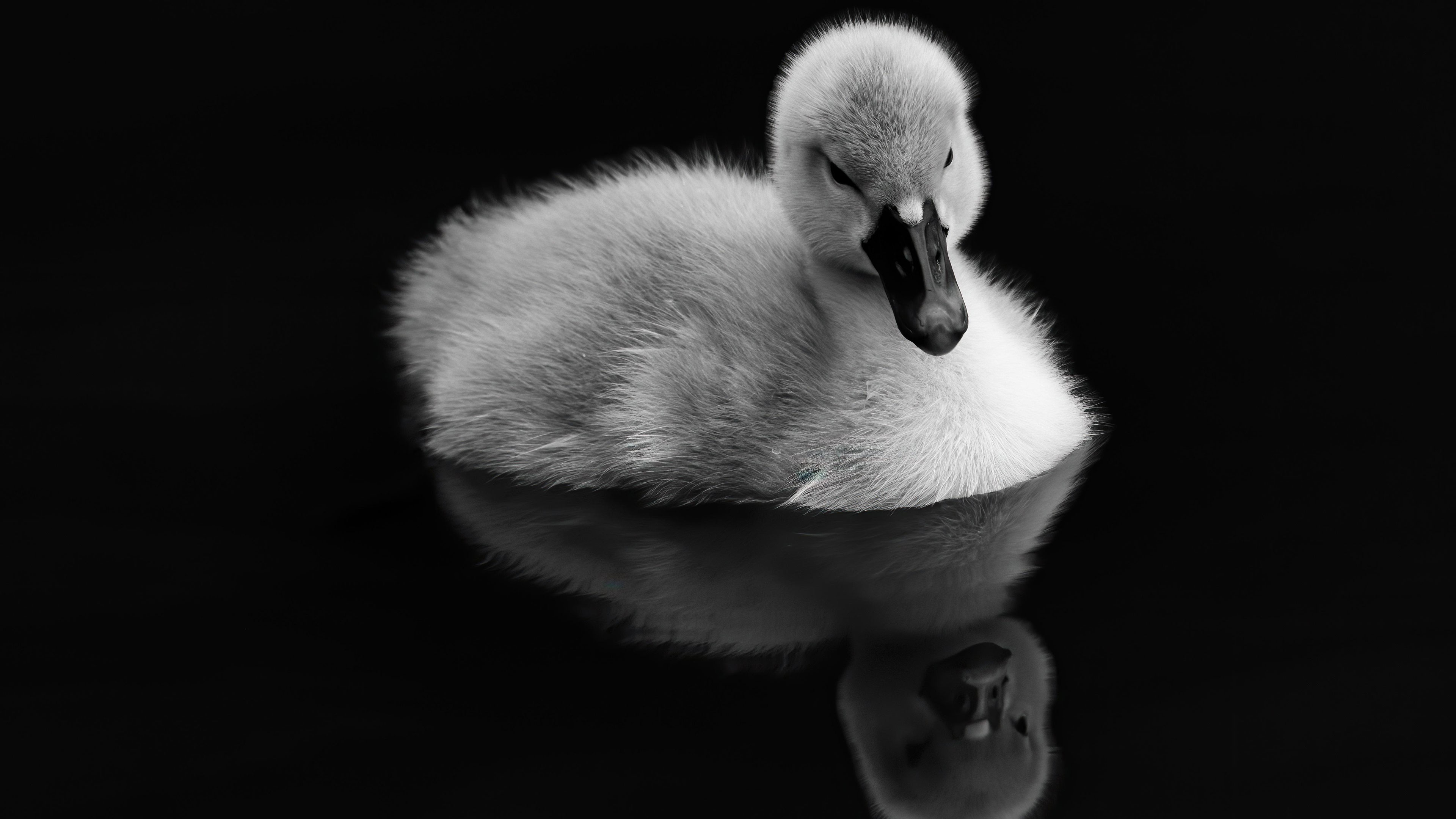 Sofia - The Invitation to Athomeness