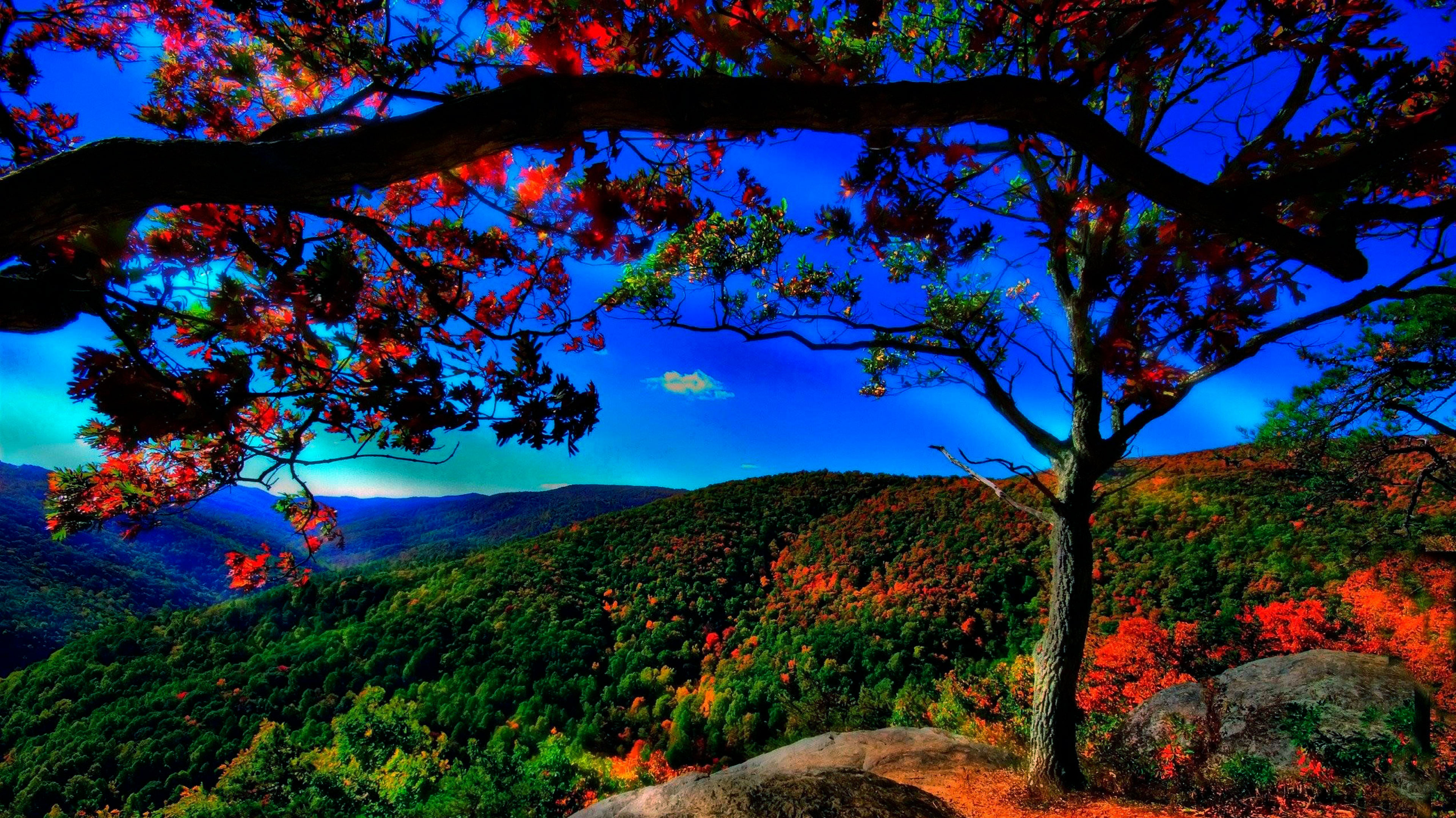 Standing in Wonder of the Real - Is Becoming The Real