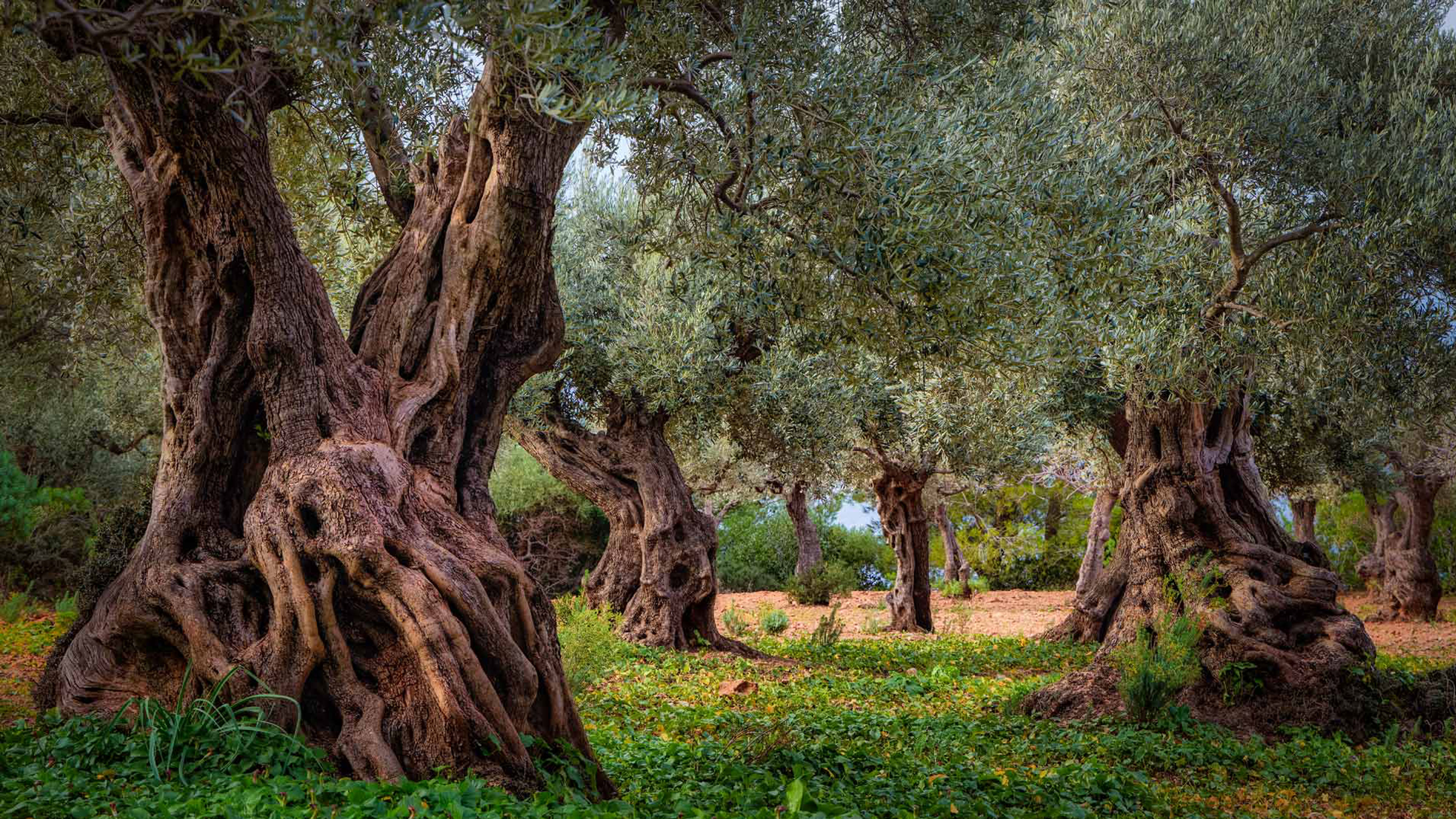 Standing True in Natural Reality