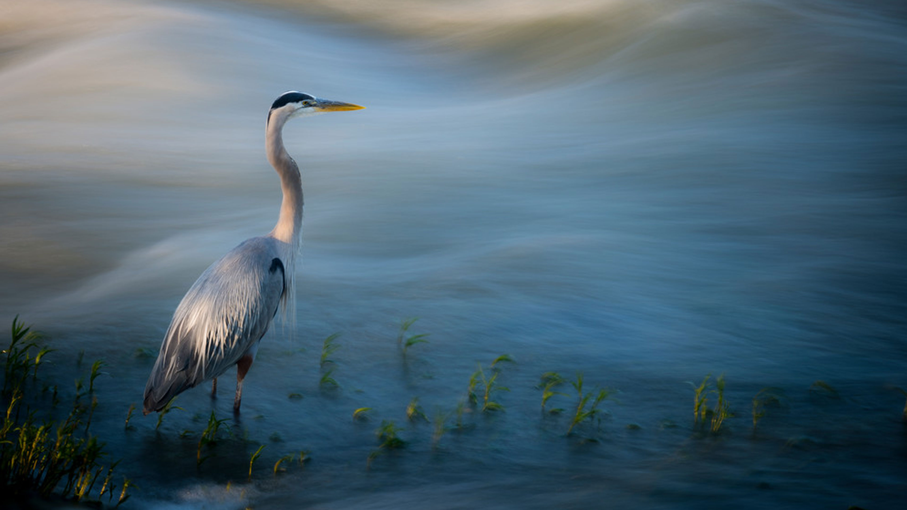Stillness finds you